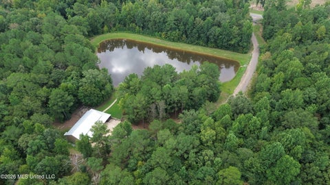 Vacant Land For Sale - 11330 Ms-429<br/> Leake County, Carthage, MS 39051