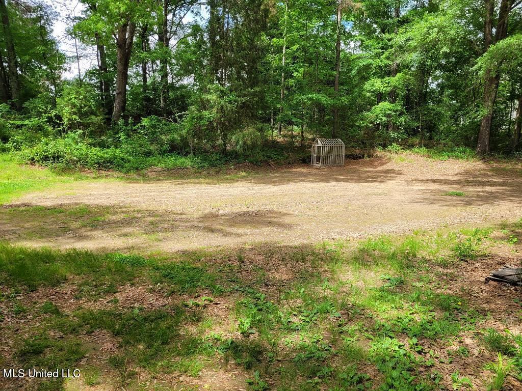 3189 S Red Banks Road, Byhalia, Mississippi image 6