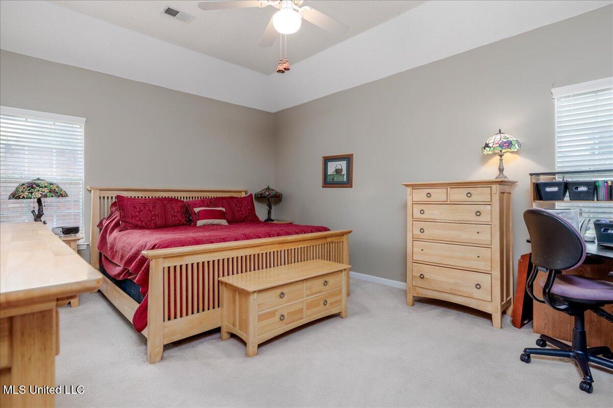 5727 Carter Drive, Southaven, Mississippi image 12