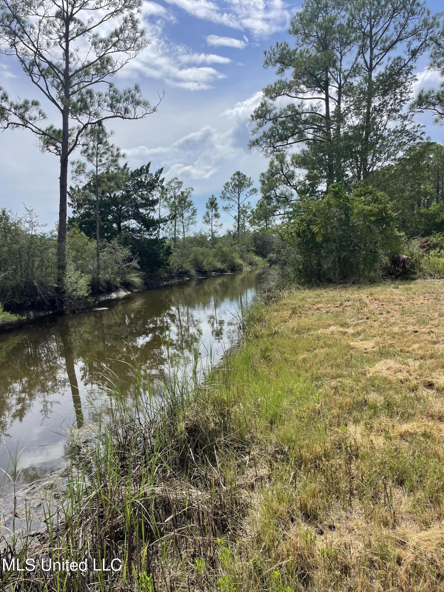 8525 Pickering Forrest Drive, Ocean Springs, Mississippi image 9