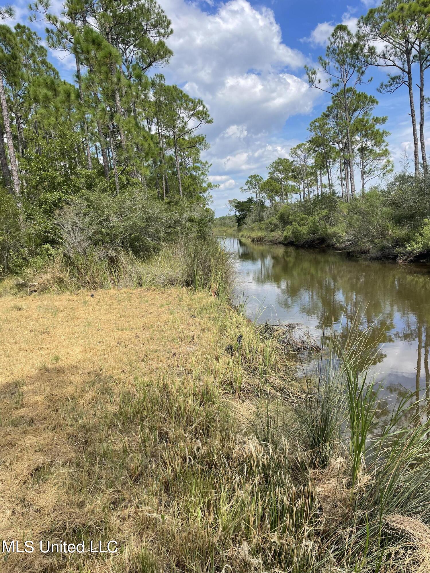 8525 Pickering Forrest Drive, Ocean Springs, Mississippi image 10