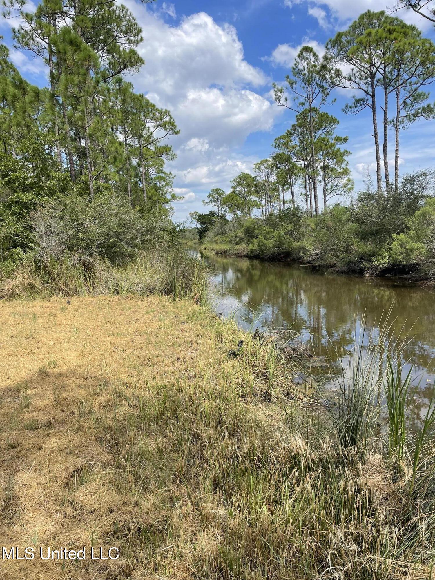 8525 Pickering Forrest Drive, Ocean Springs, Mississippi image 7