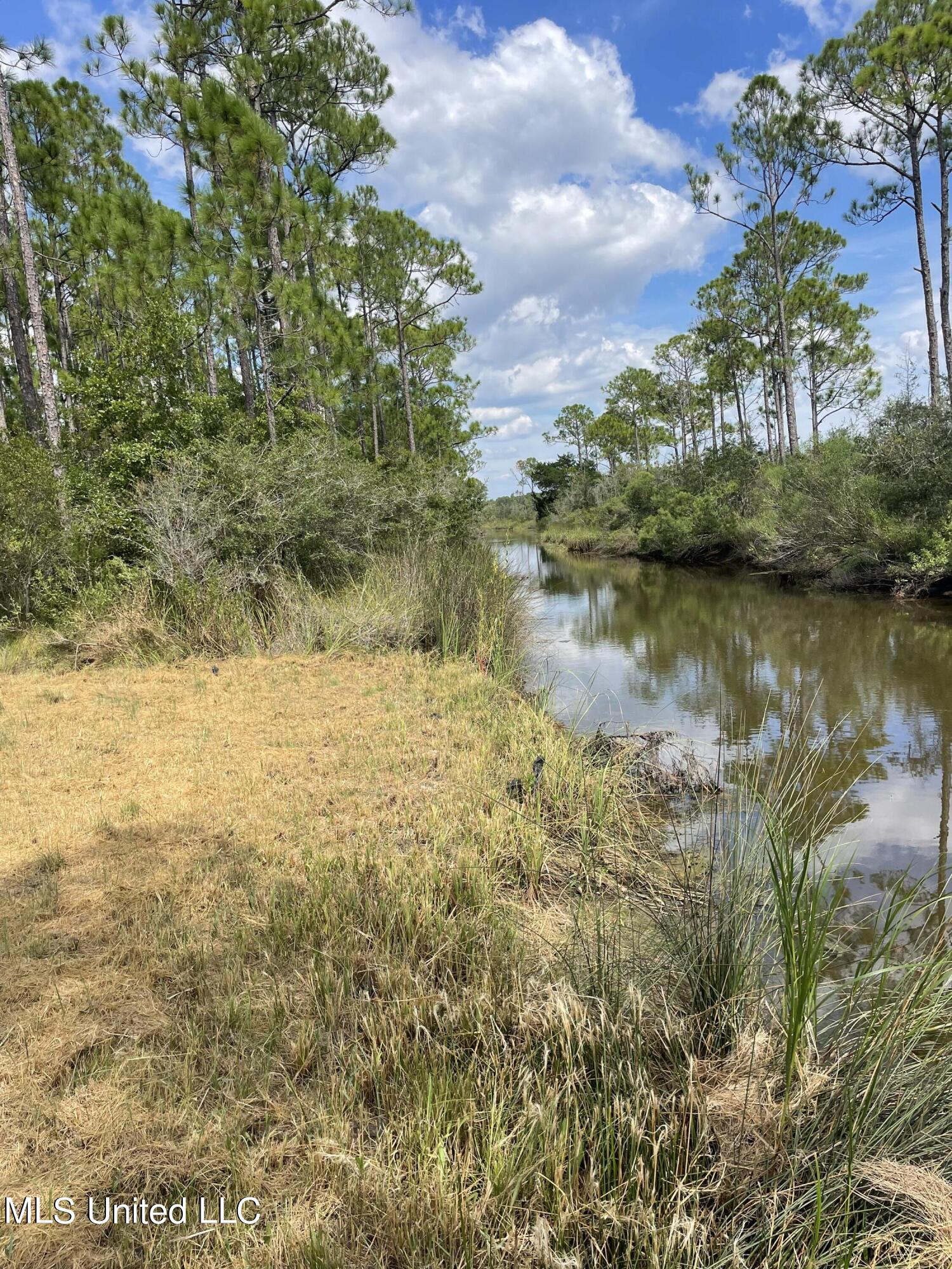 8525 Pickering Forrest Drive, Ocean Springs, Mississippi image 8