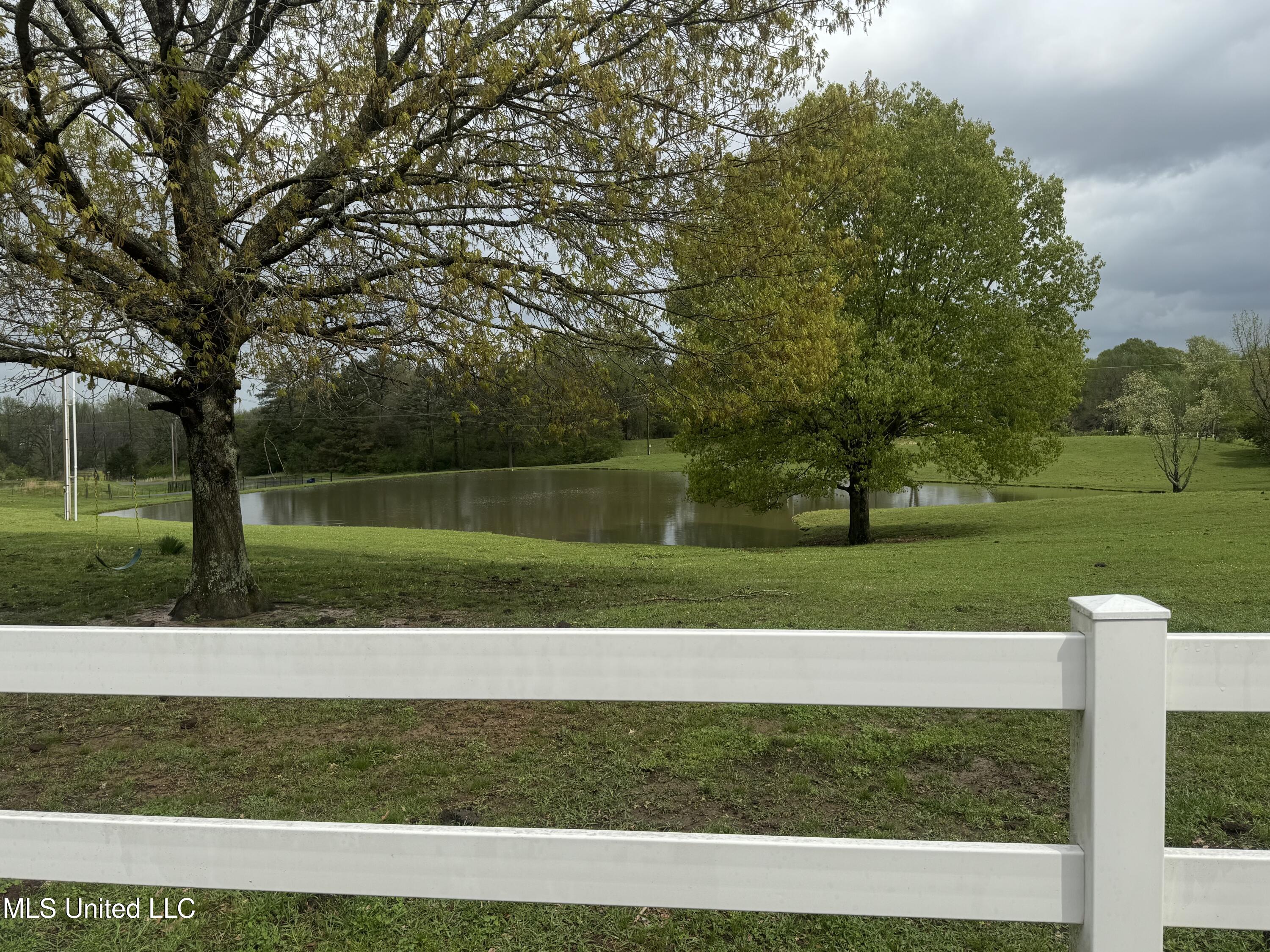 1201 Wheeler Road, Hernando, Mississippi image 4