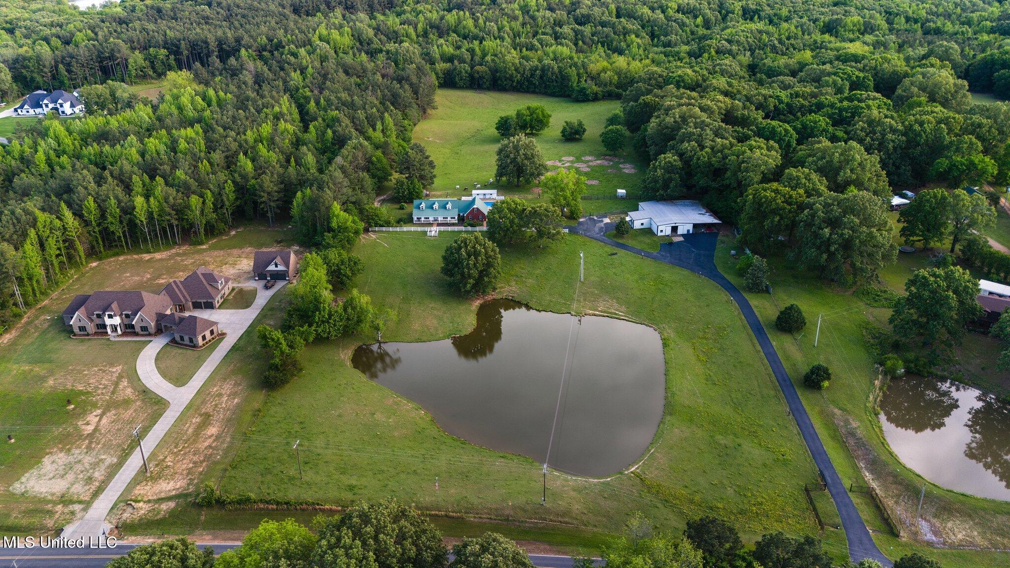 1201 Wheeler Road, Hernando, Mississippi image 3