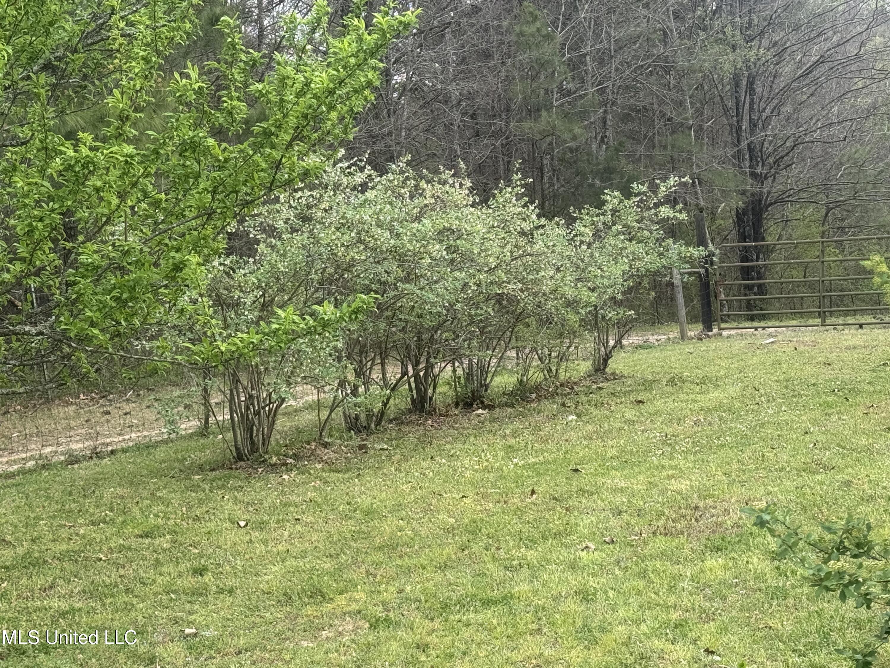 1201 Wheeler Road, Hernando, Mississippi image 7