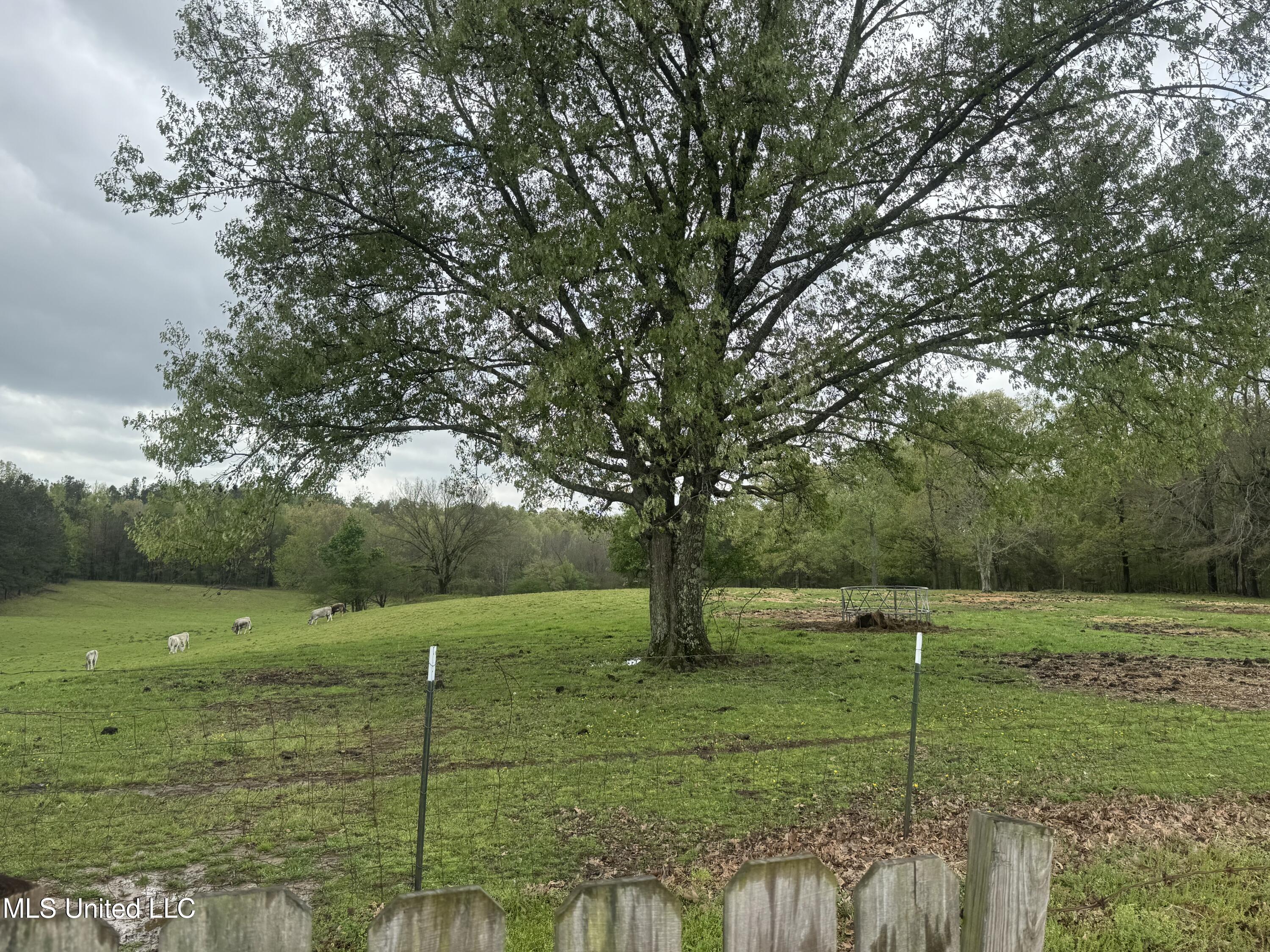 1201 Wheeler Road, Hernando, Mississippi image 38