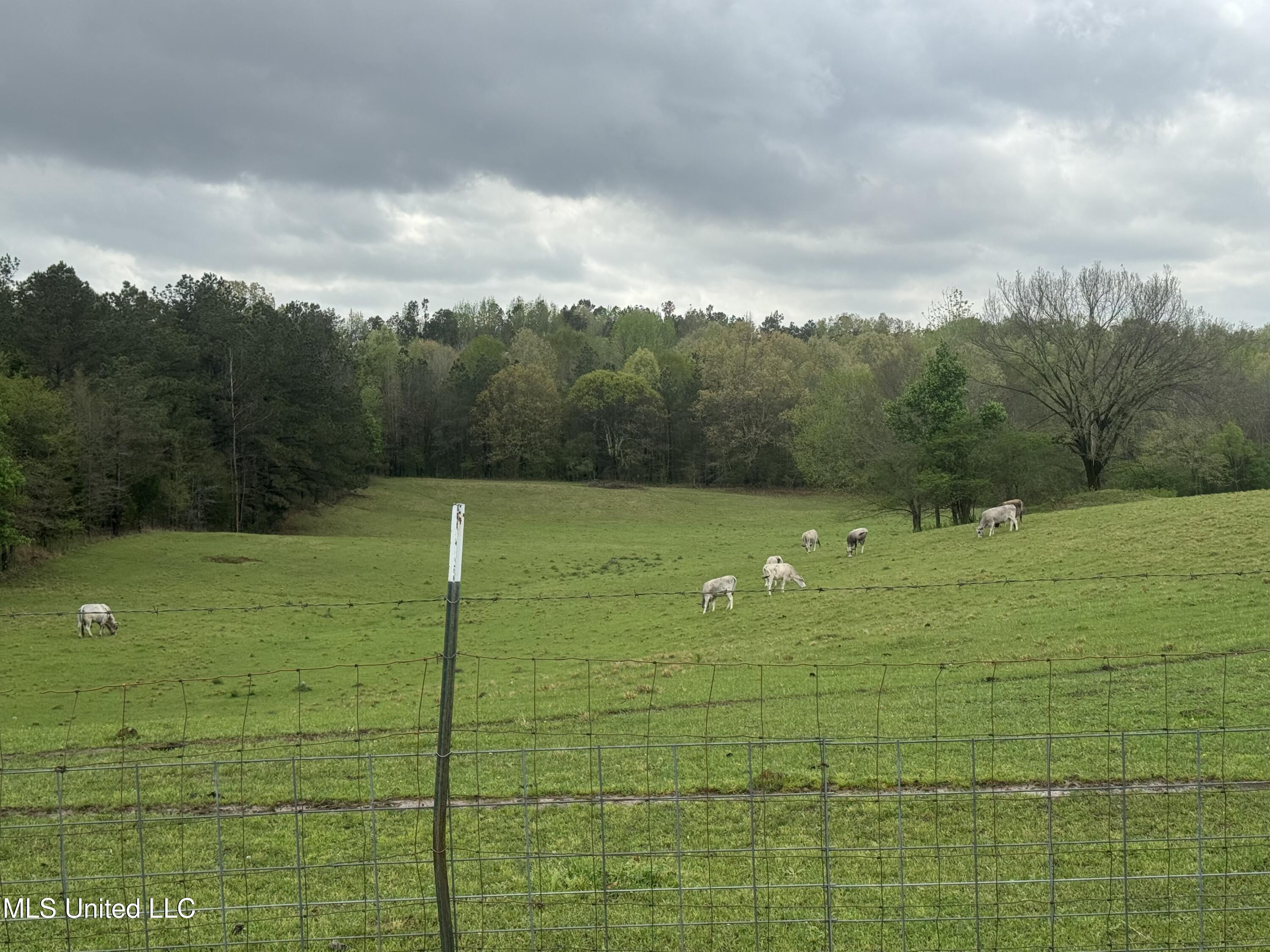 1201 Wheeler Road, Hernando, Mississippi image 37