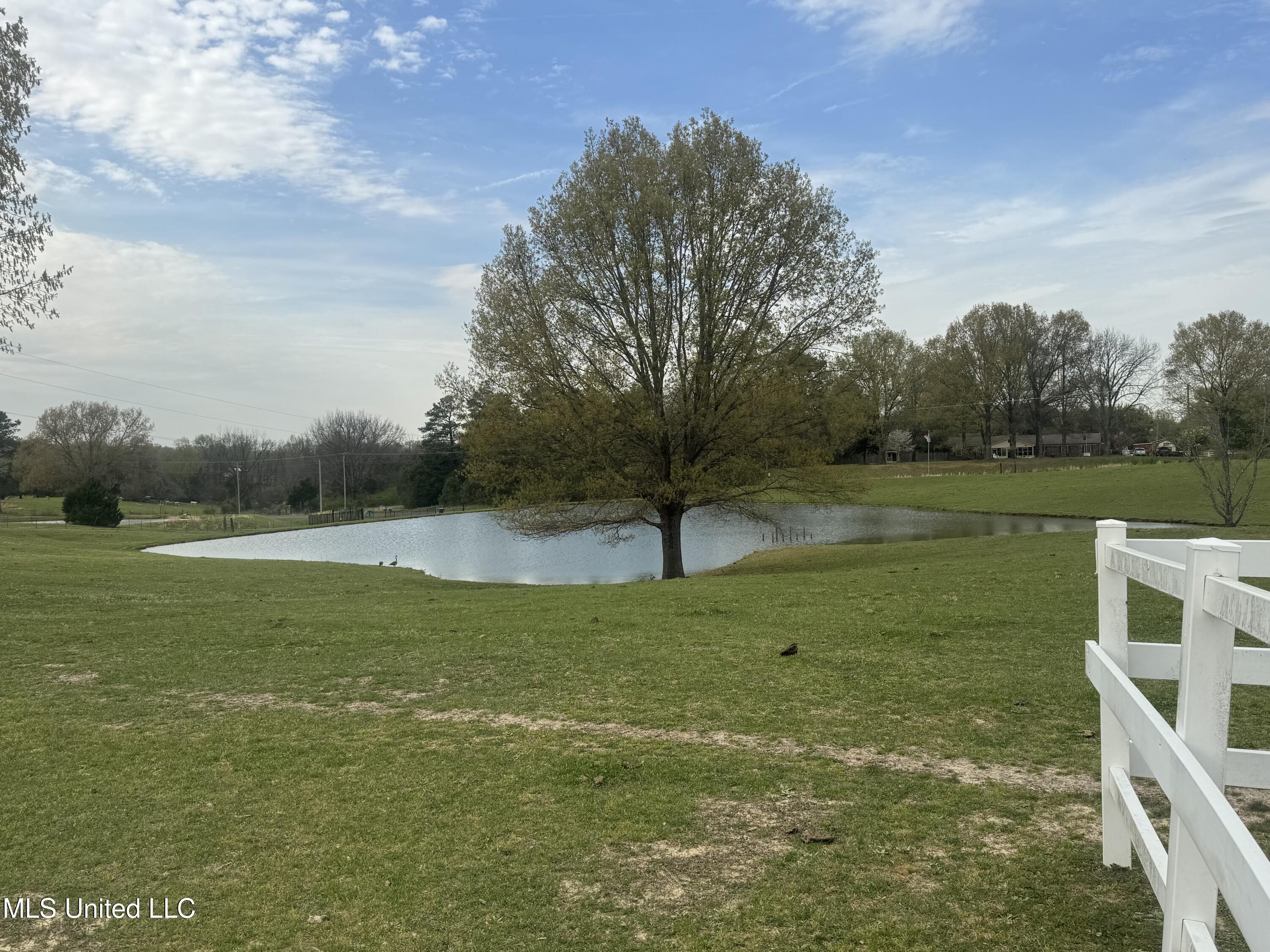 1201 Wheeler Road, Hernando, Mississippi image 6