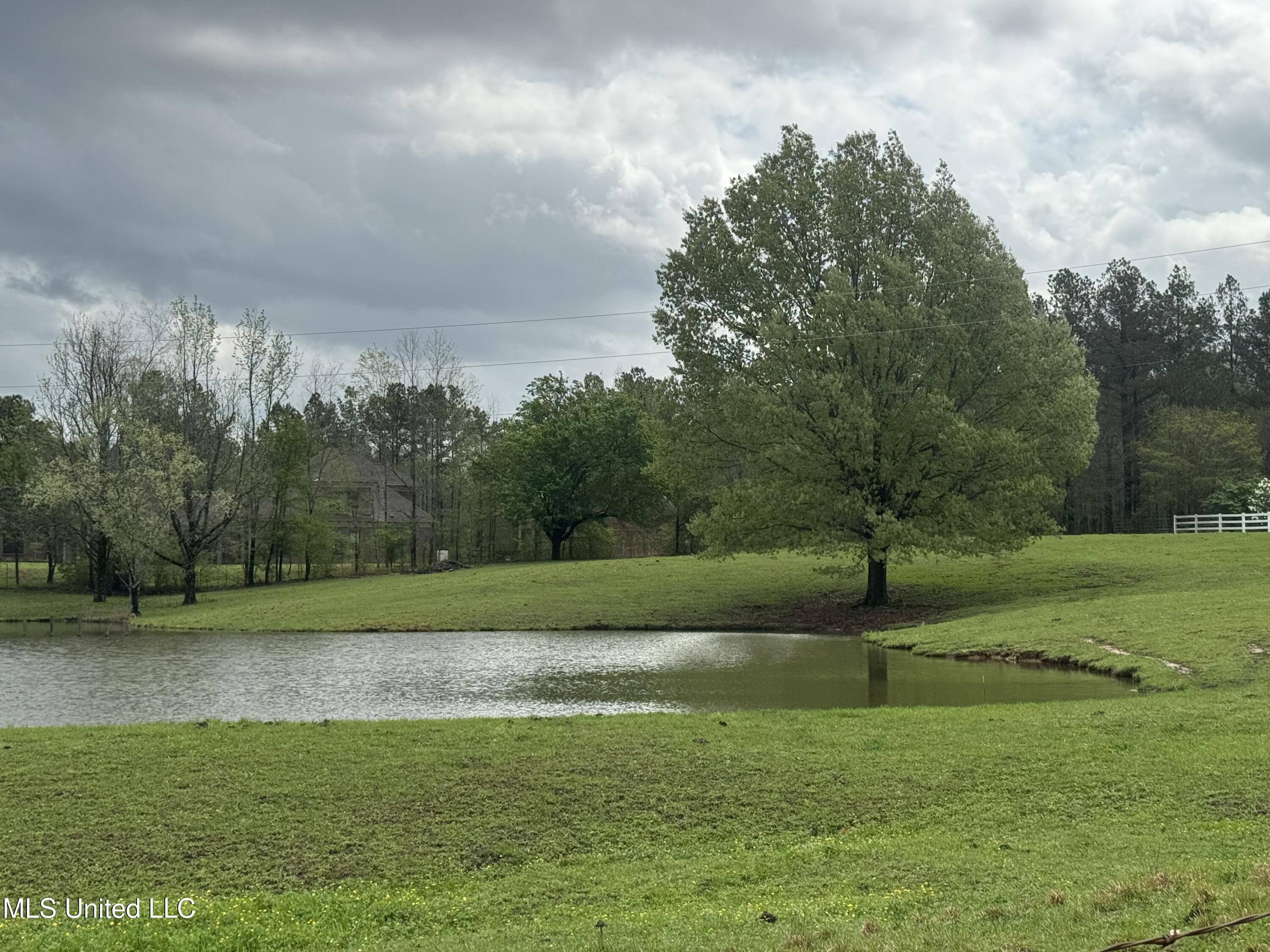 1201 Wheeler Road, Hernando, Mississippi image 43
