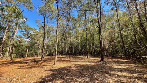 Vacant Land For Sale - Old Hwy 49<br/> Saucier, MS 39574