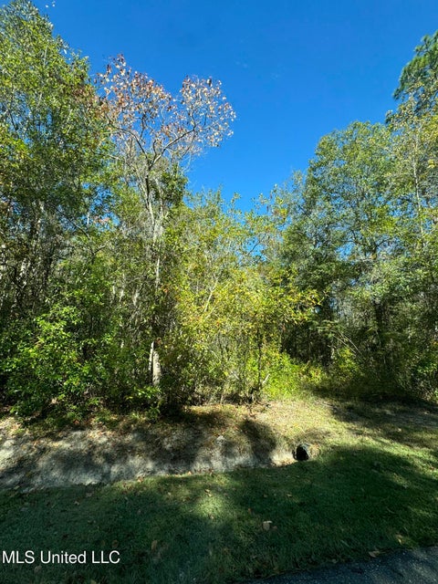 Vacant Land For Sale - Indian Street<br/> Bay Saint Louis, MS 39520