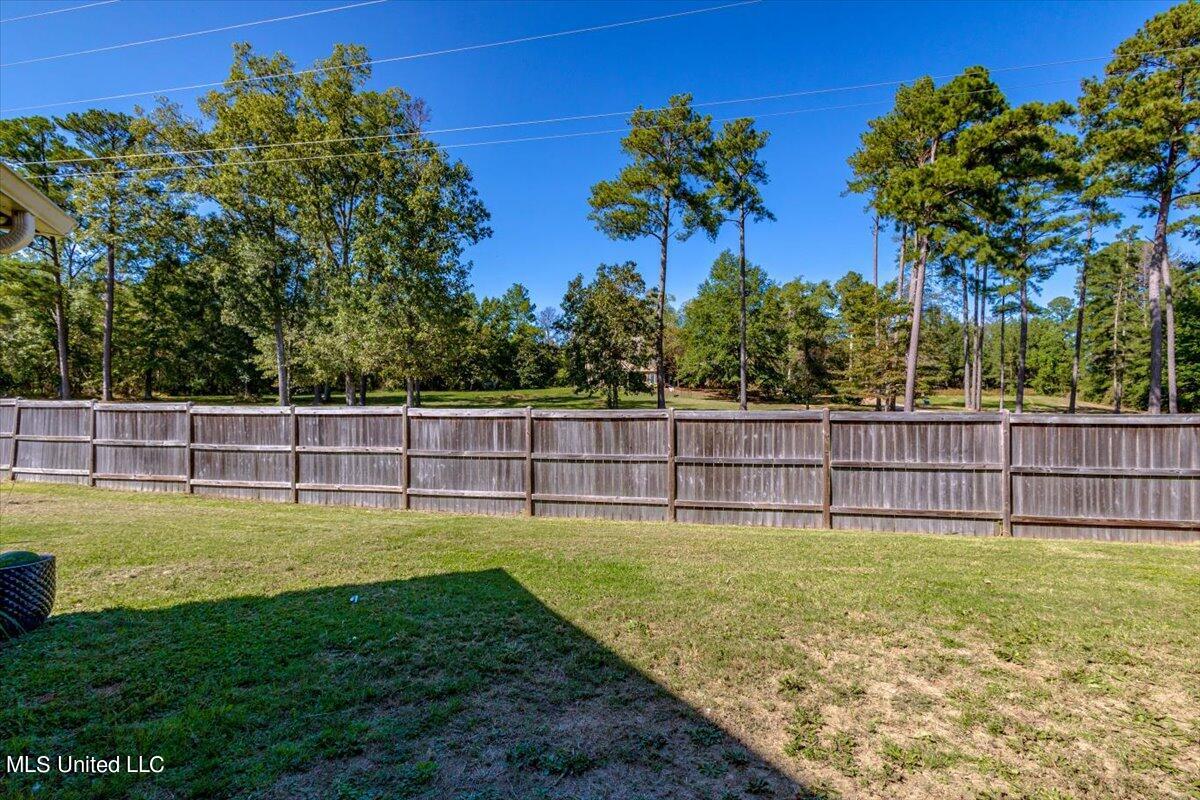 353 Emerald Way, Brandon, Mississippi image 22