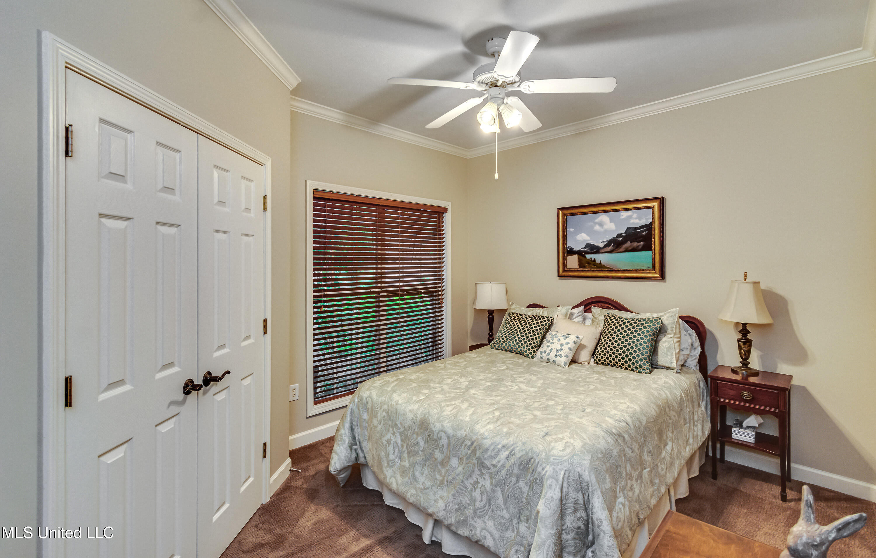 3 Carriage Court Place, Brandon, Mississippi image 41