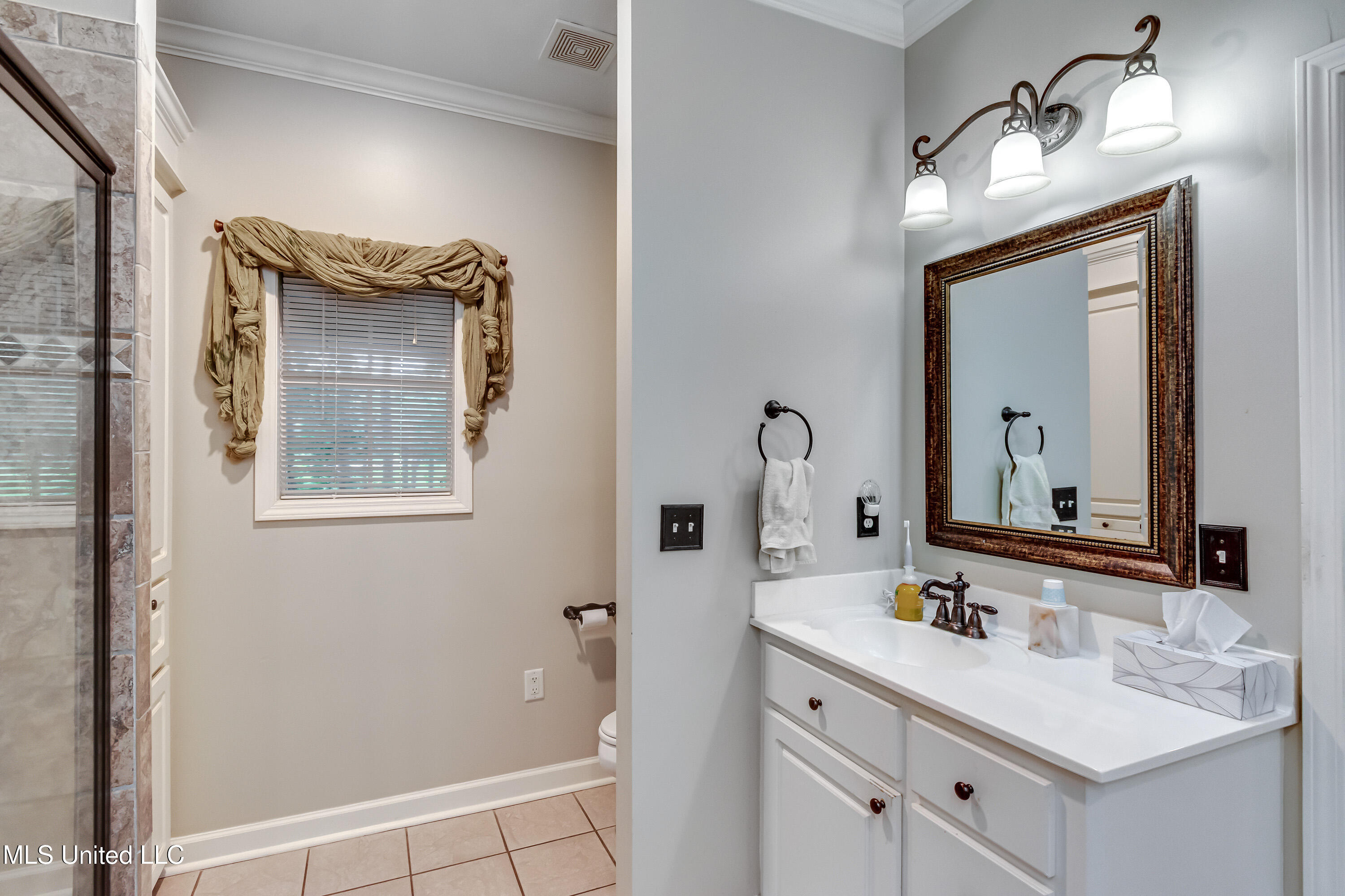 3 Carriage Court Place, Brandon, Mississippi image 36