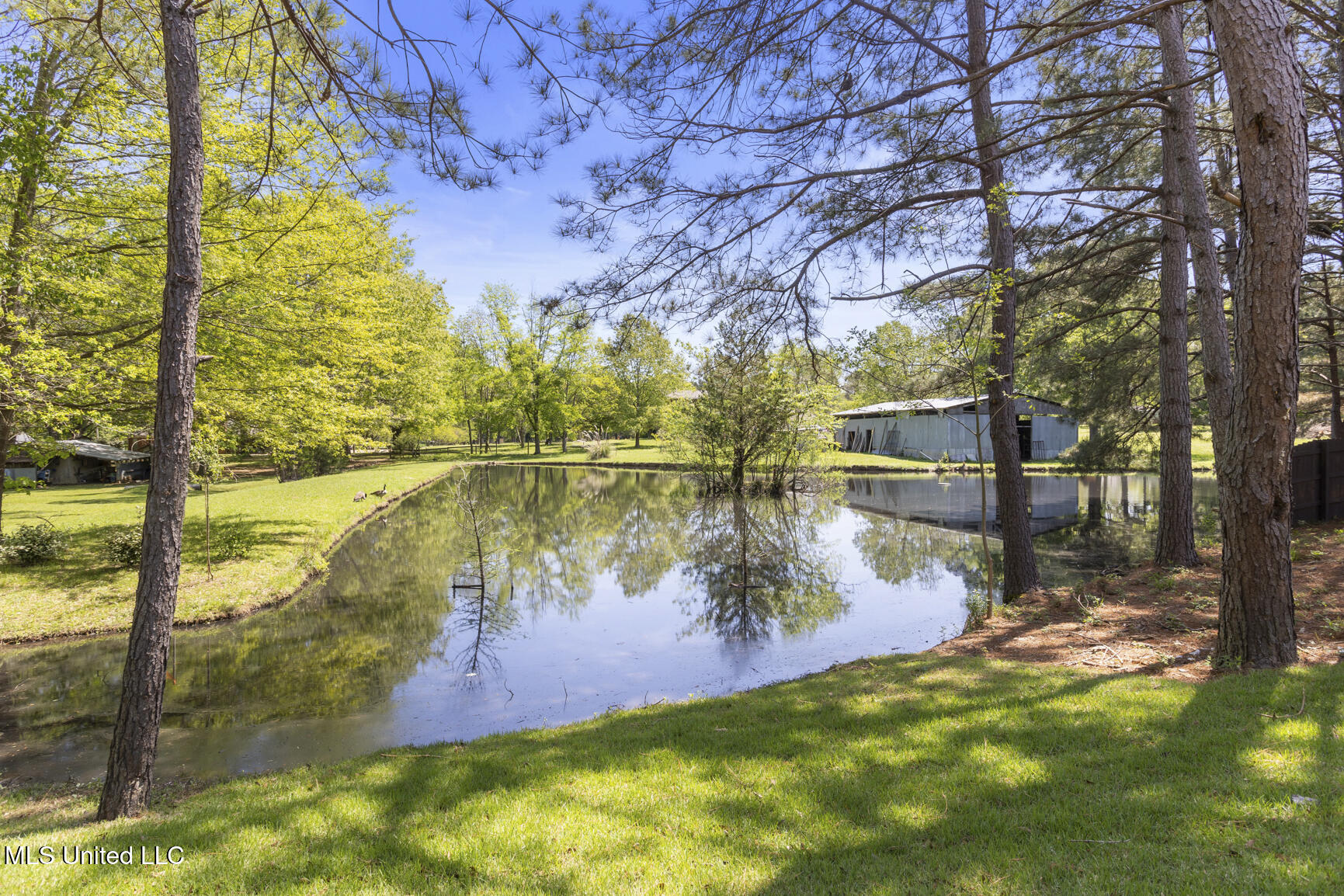 116 Anna Cove, Madison, Mississippi image 48