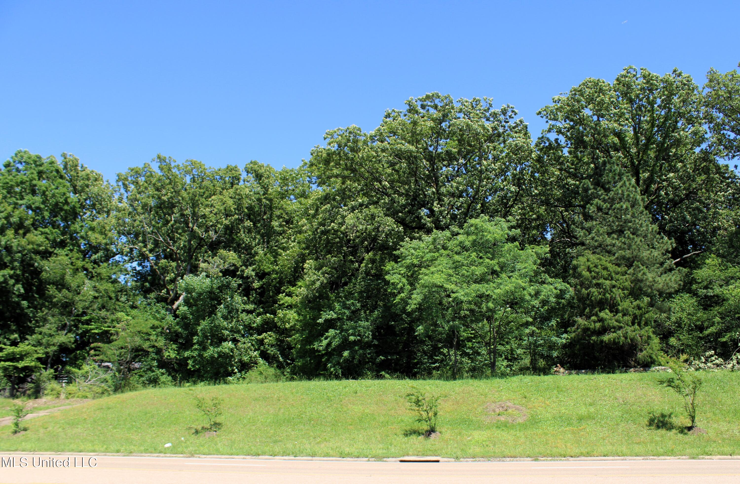 6606 Highway 305, Olive Branch, Mississippi image 1