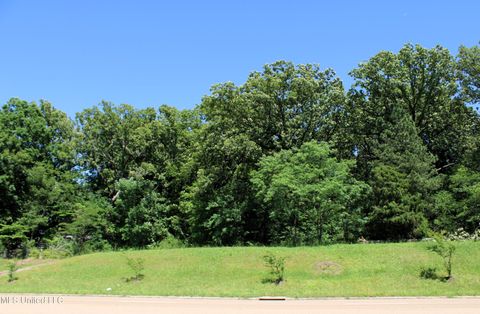 Vacant Land For Sale - 6606 Highway 305<br/> Olive Branch, MS 38654