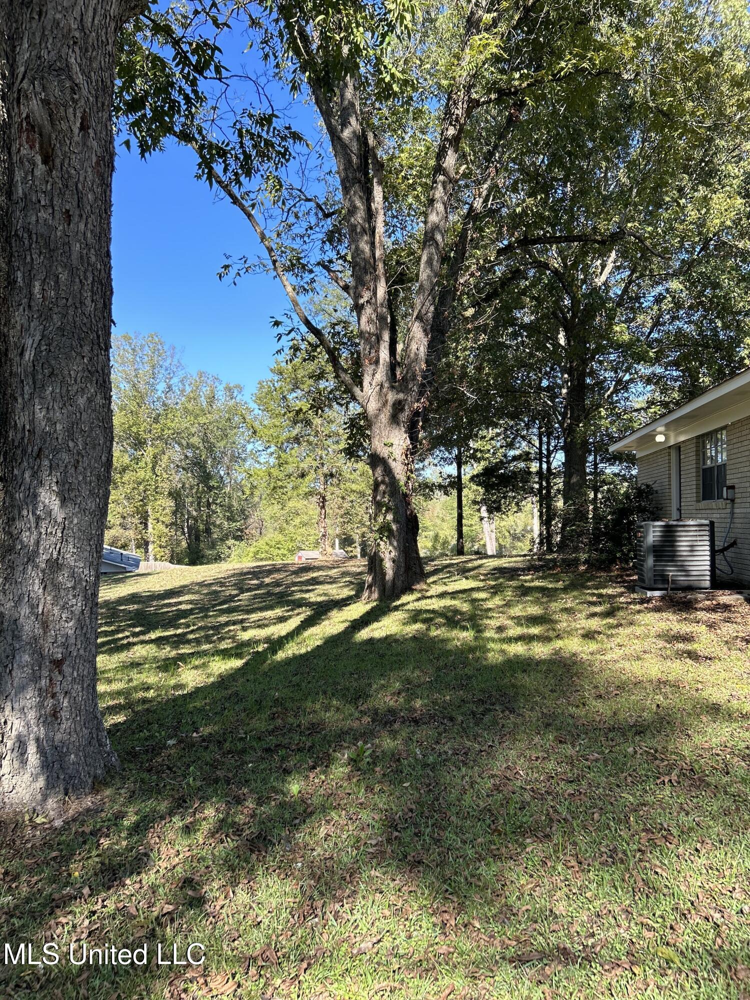 300 Woodland Drive, Edwards, Mississippi image 30