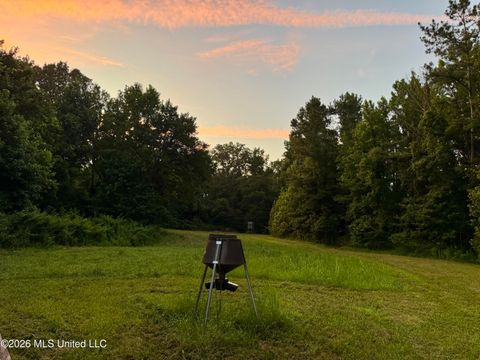 Vacant Land For Sale - Ms-553<br/> Fayette, MS 39069