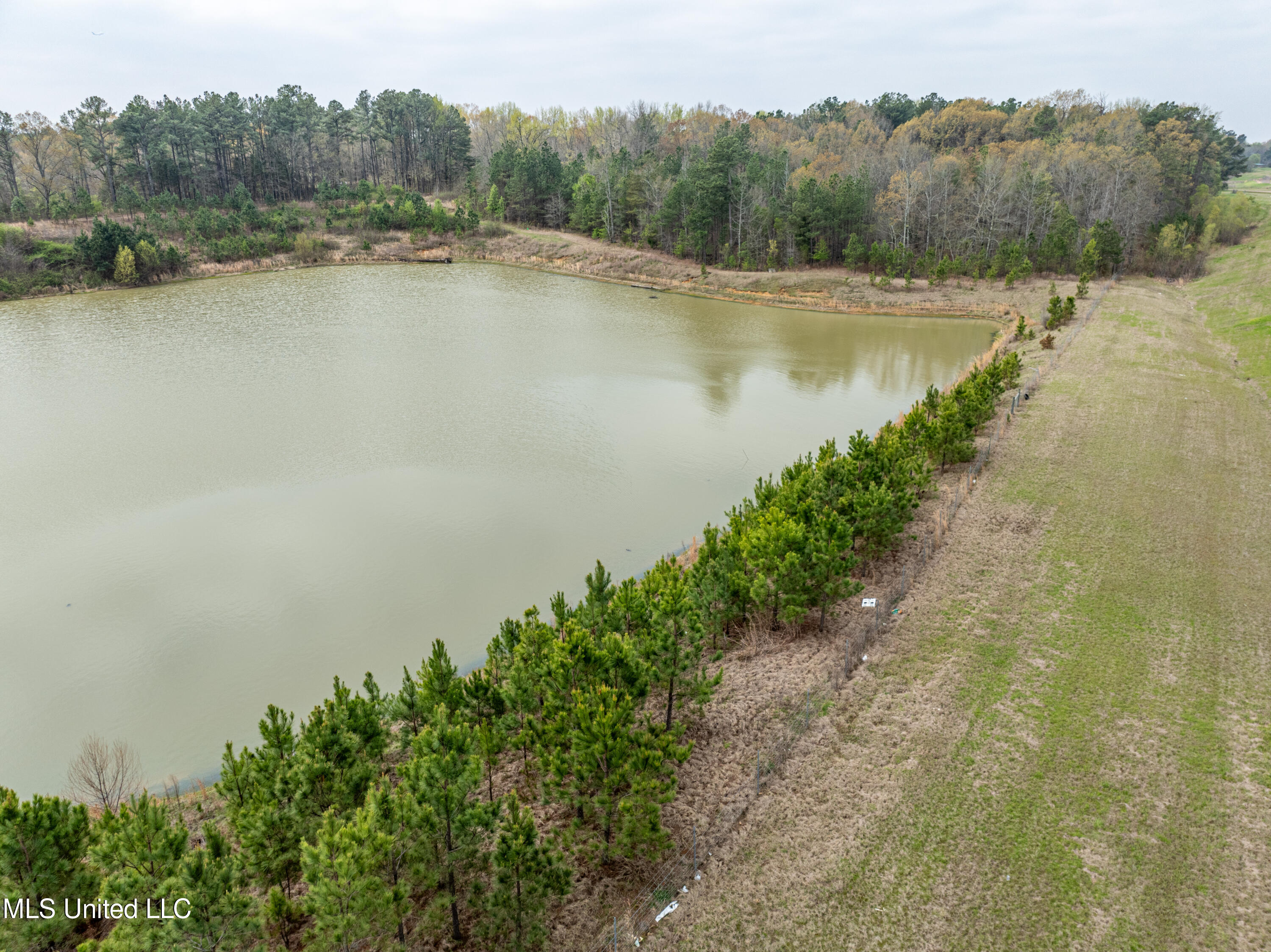 560 N Malone, Hernando, Mississippi image 9