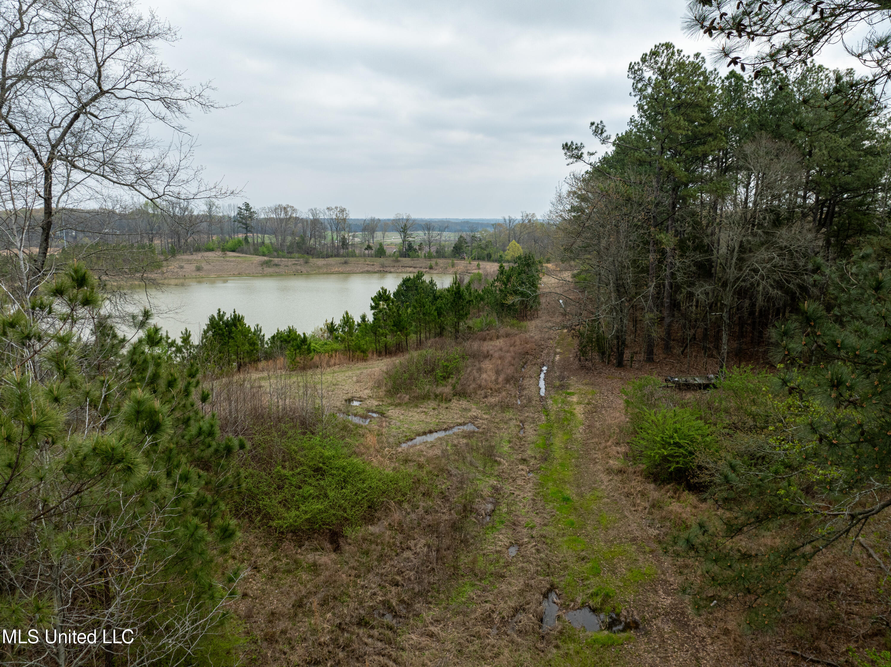 560 N Malone, Hernando, Mississippi image 10