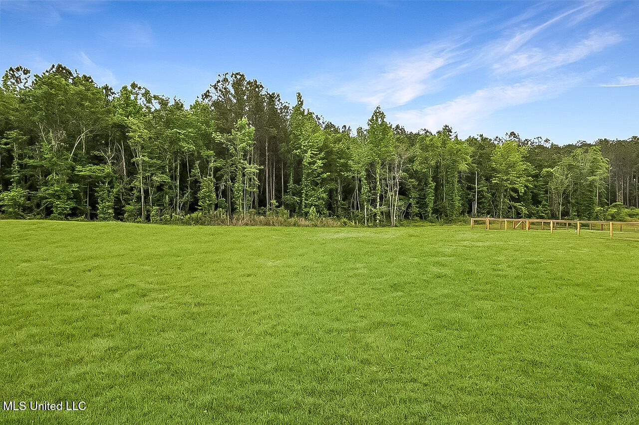 1622 Old Lake Road, Brandon, Mississippi image 36