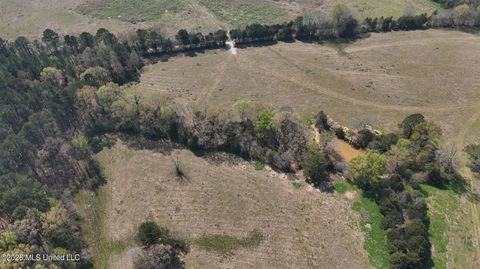 Vacant Land For Sale - Potluck Road<br/> Madison County, Canton, MS 39046