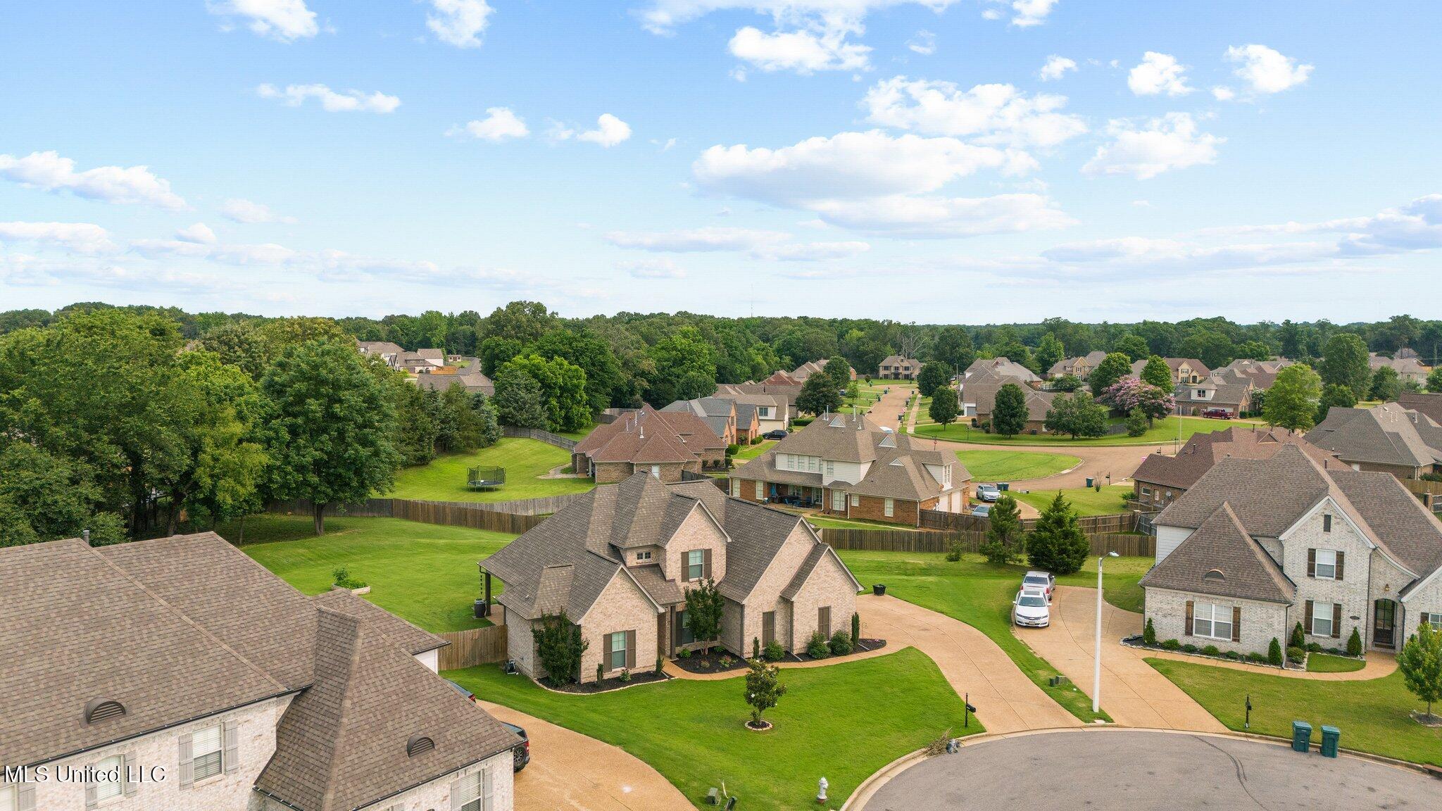 3717 Beech Tree Cove, Southaven, Mississippi image 31