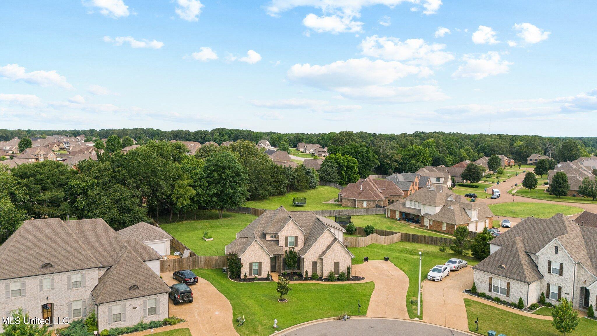 3717 Beech Tree Cove, Southaven, Mississippi image 32
