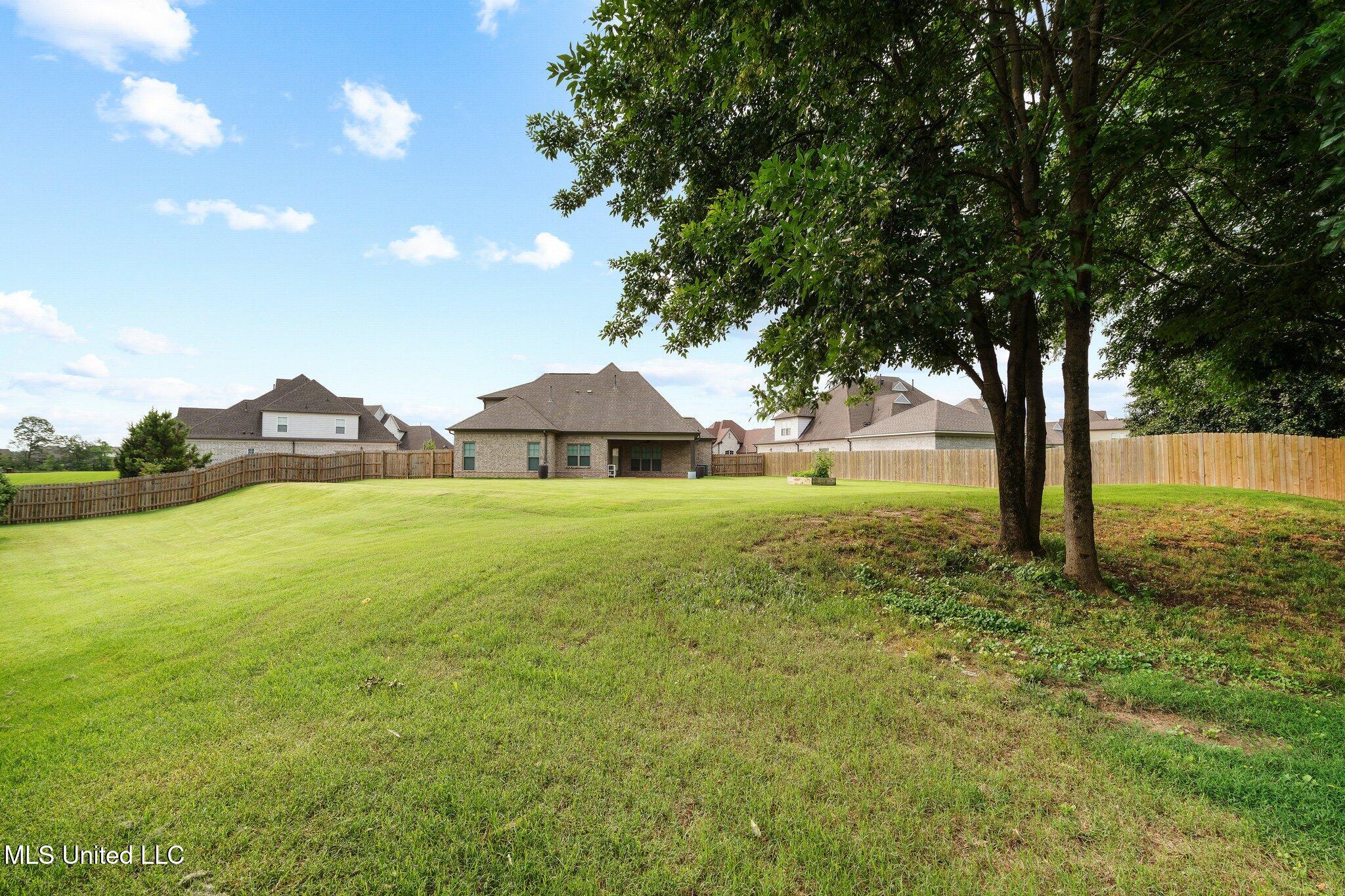 3717 Beech Tree Cove, Southaven, Mississippi image 30