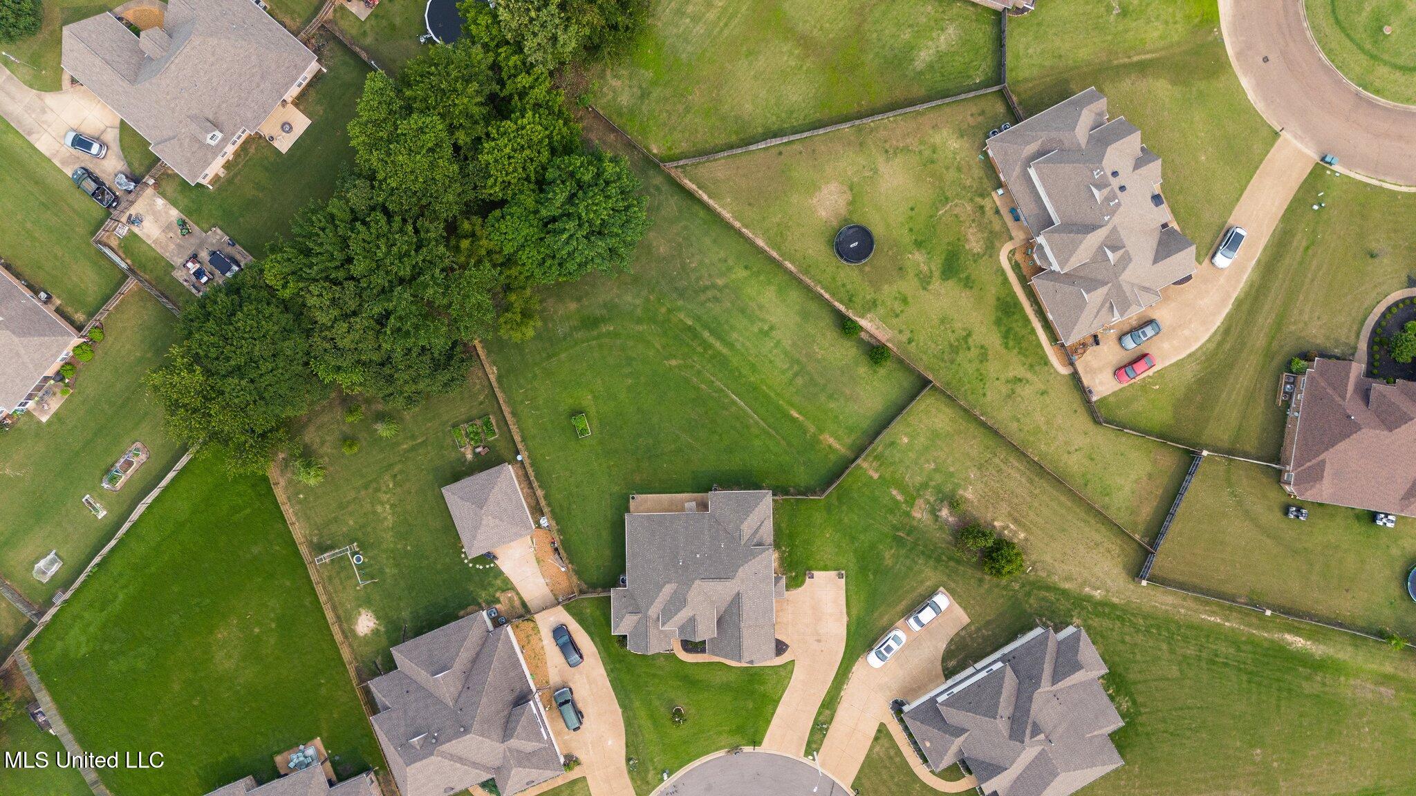 3717 Beech Tree Cove, Southaven, Mississippi image 33