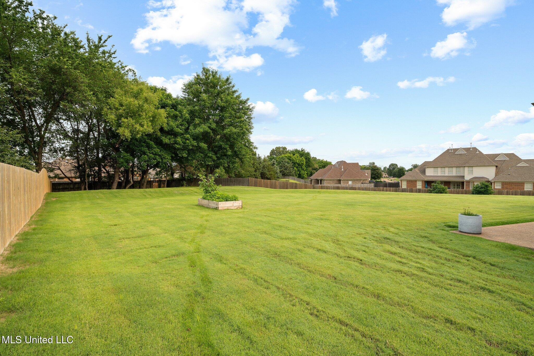 3717 Beech Tree Cove, Southaven, Mississippi image 29