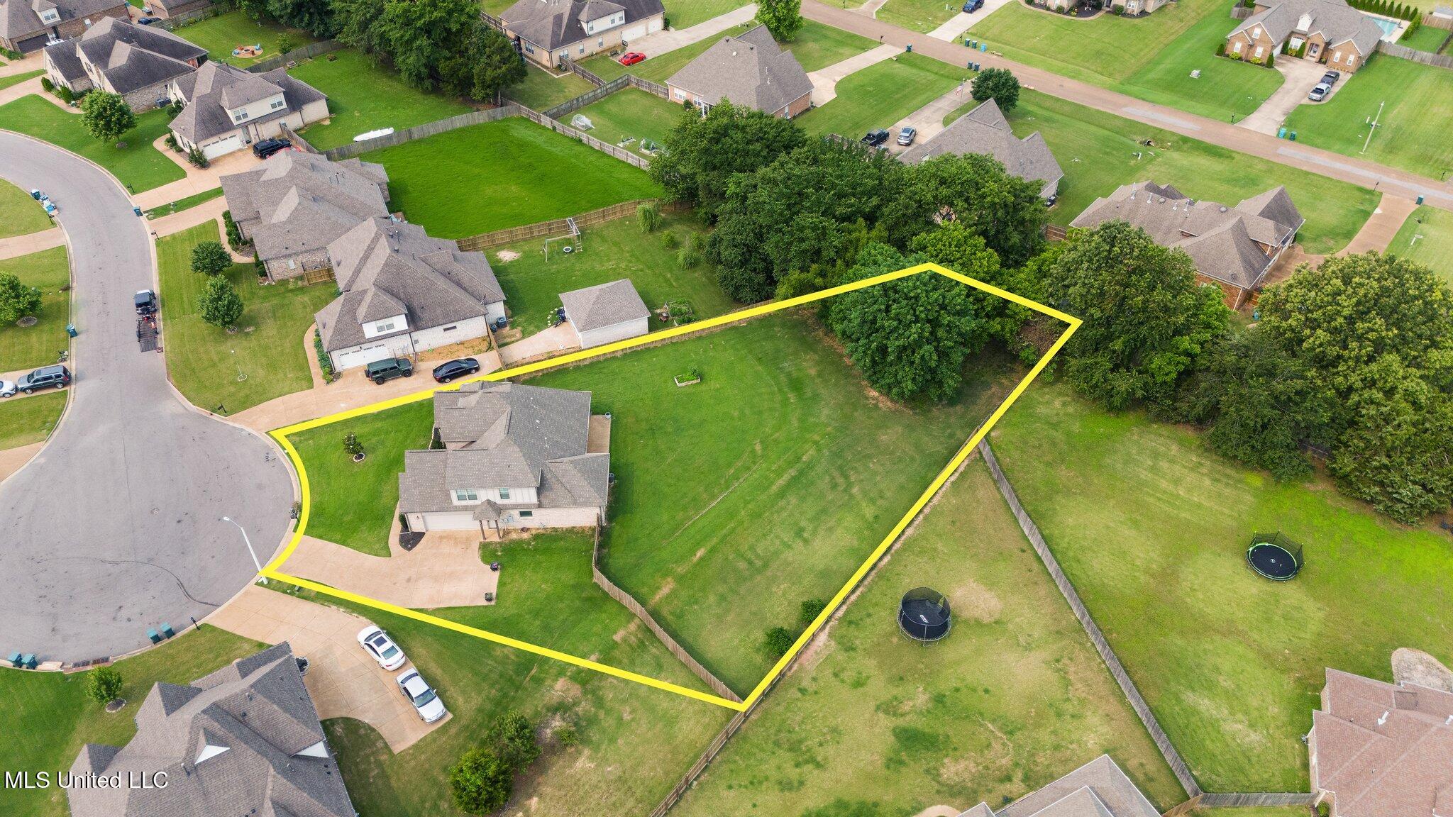 3717 Beech Tree Cove, Southaven, Mississippi image 34