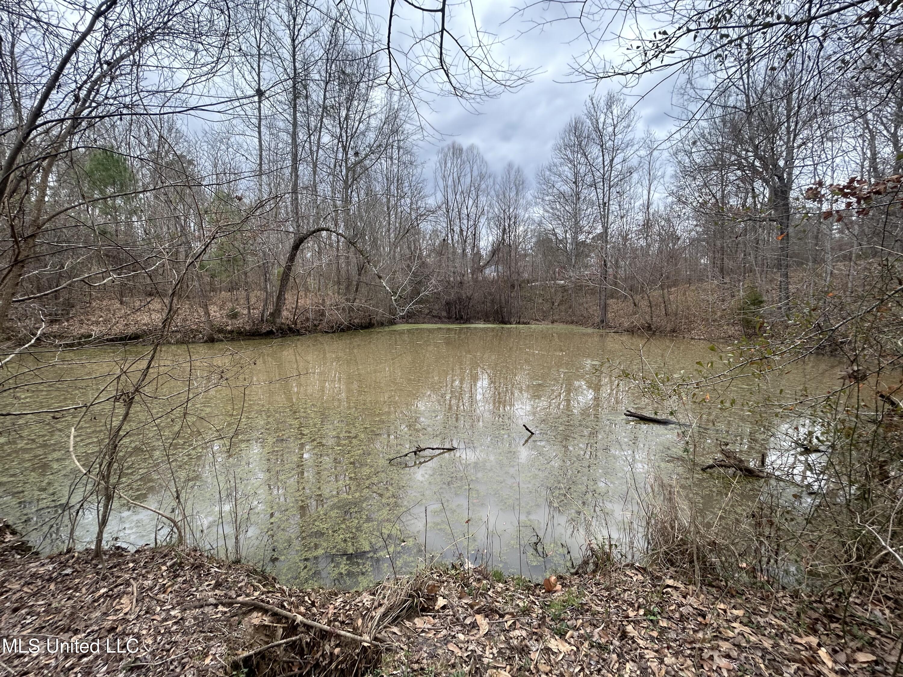 11 Knotts Road Road, Natchez, Mississippi image 9