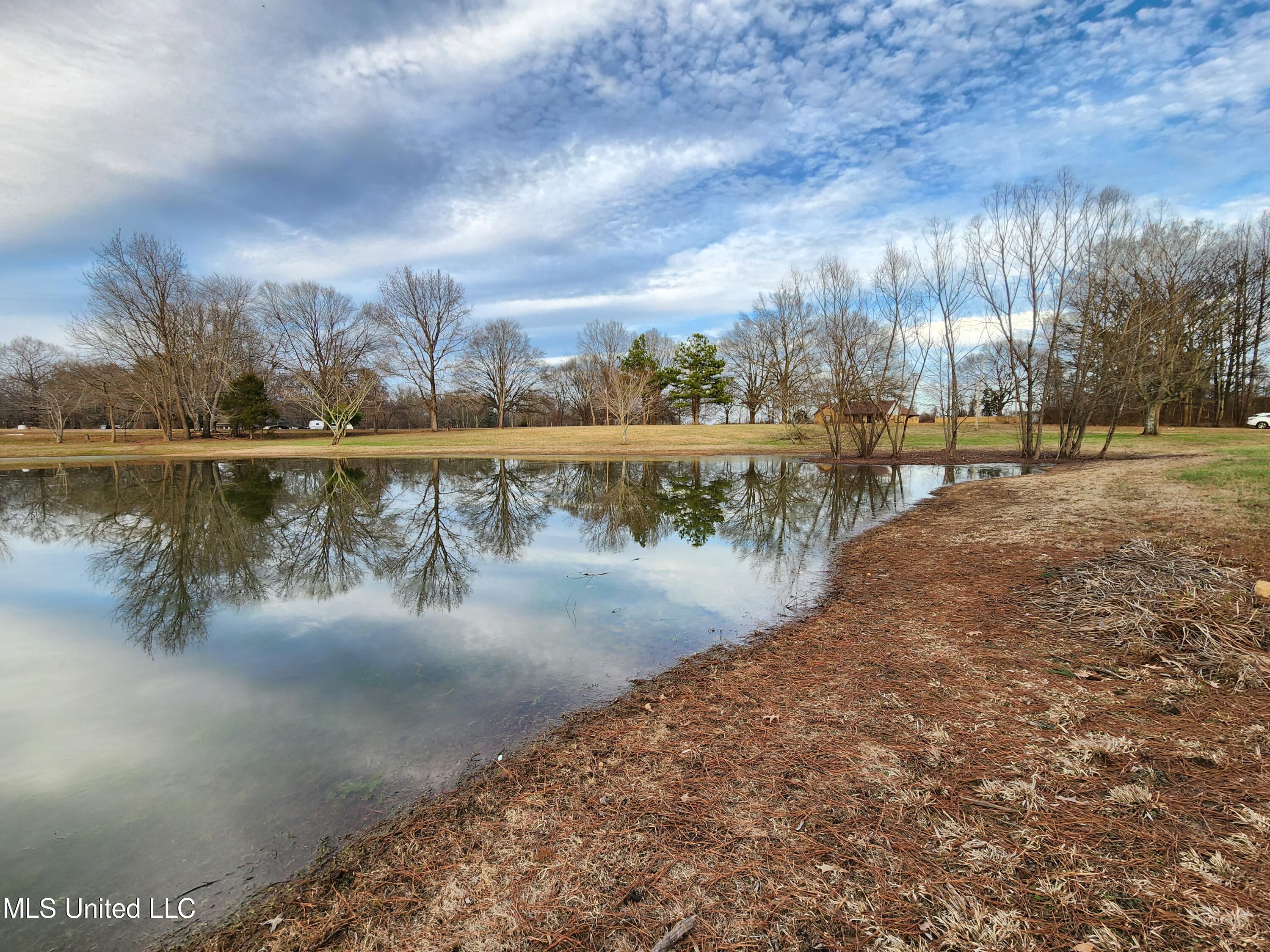 Claridge Court, Horn Lake, Mississippi image 6