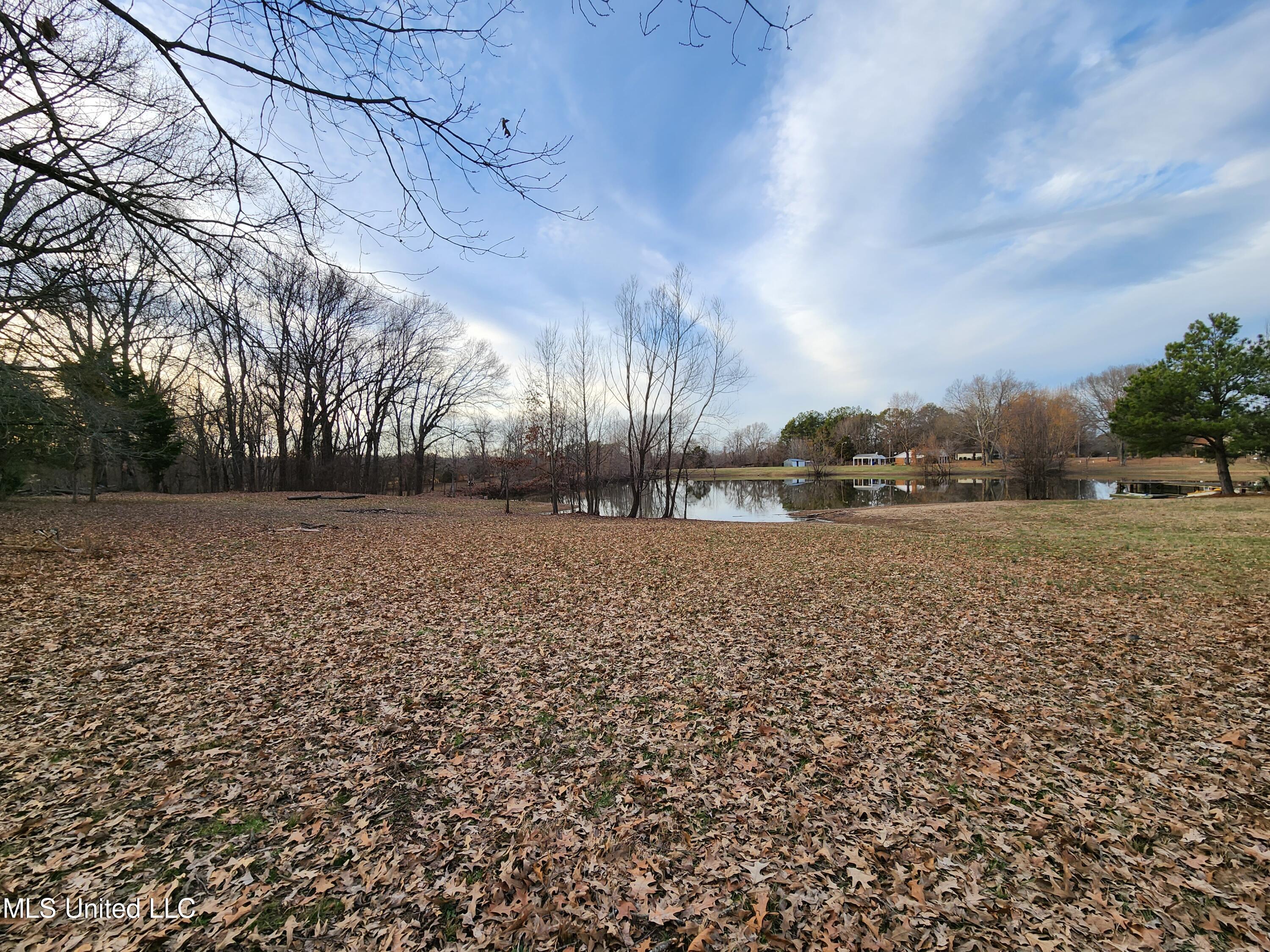 Claridge Court, Horn Lake, Mississippi image 10