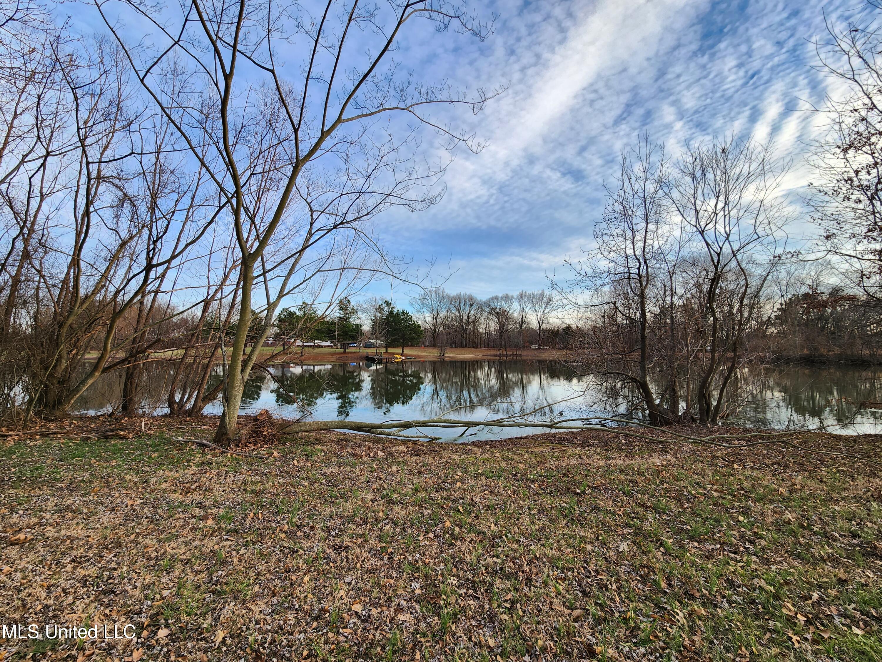 Claridge Court, Horn Lake, Mississippi image 15