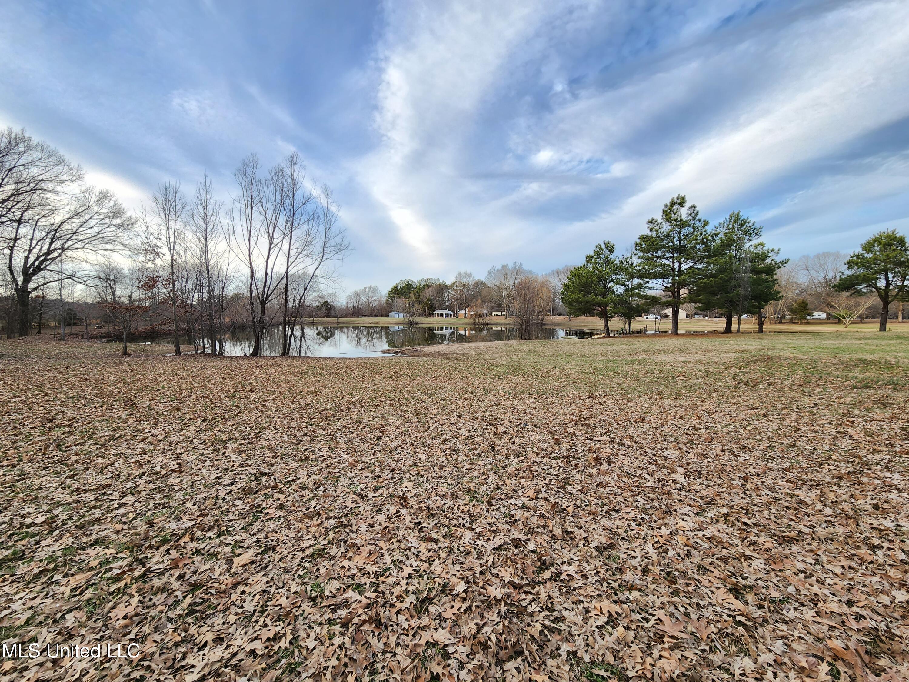 Claridge Court, Horn Lake, Mississippi image 9