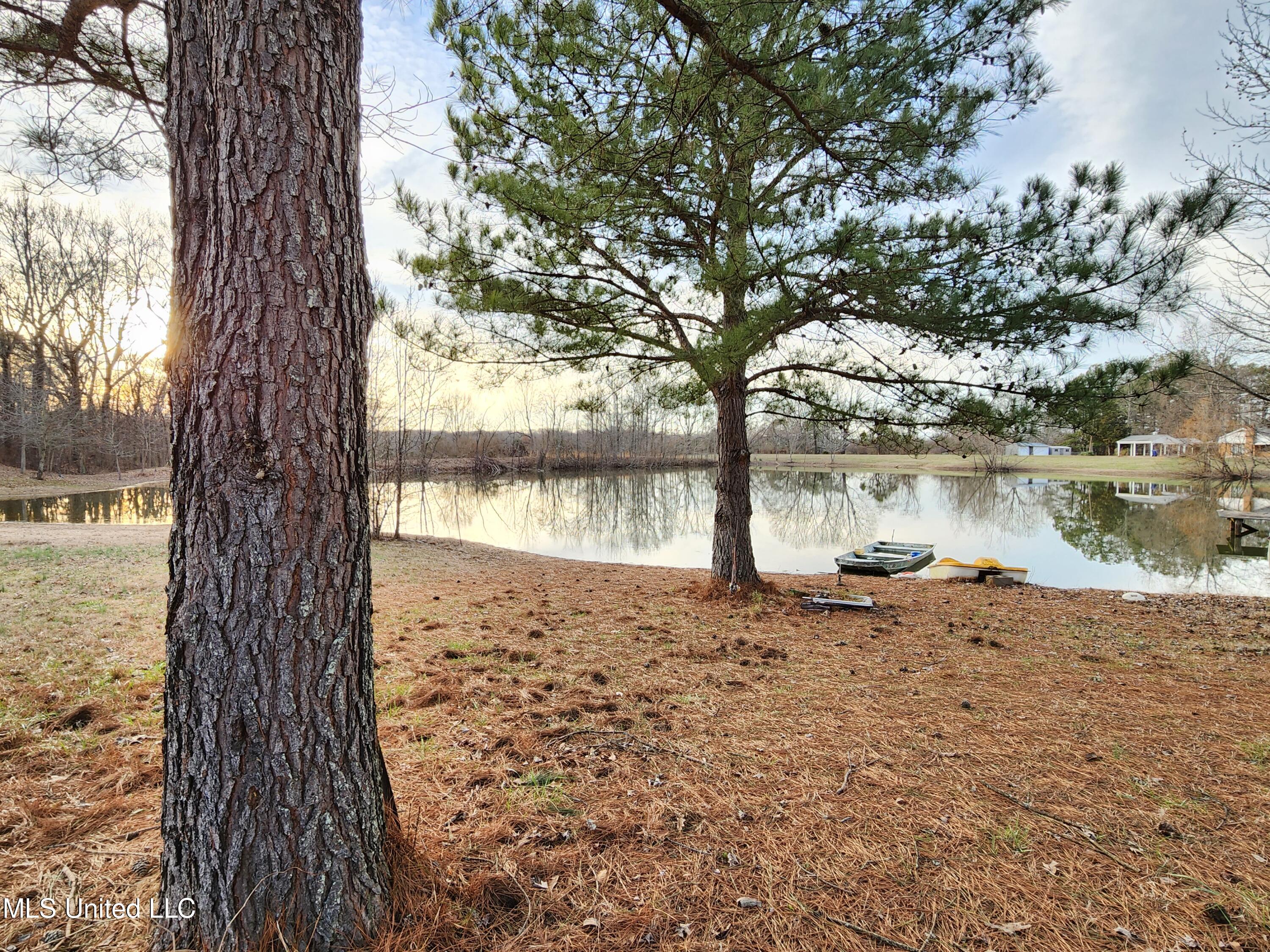 Claridge Court, Horn Lake, Mississippi image 7