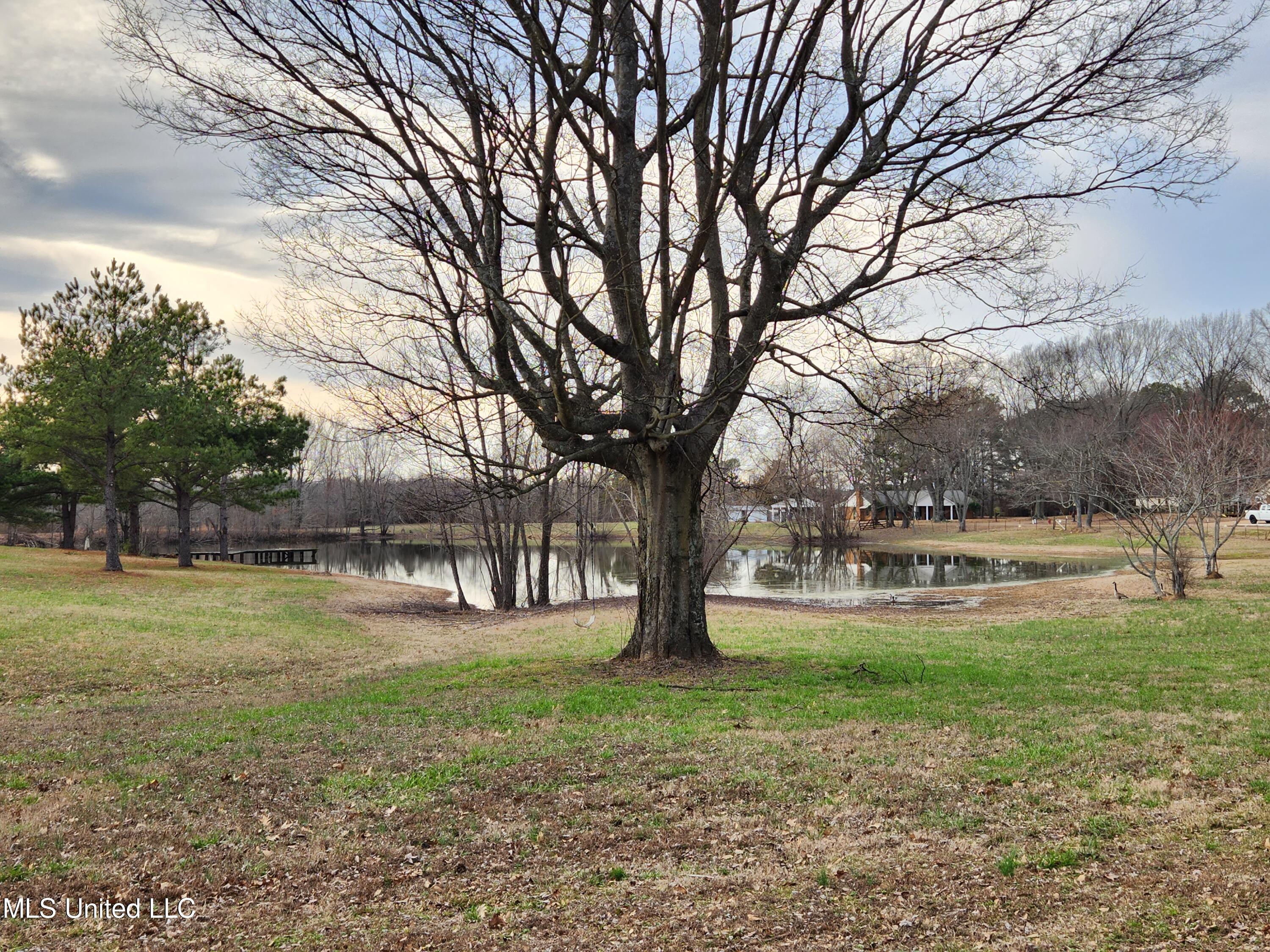 Claridge Court, Horn Lake, Mississippi image 4