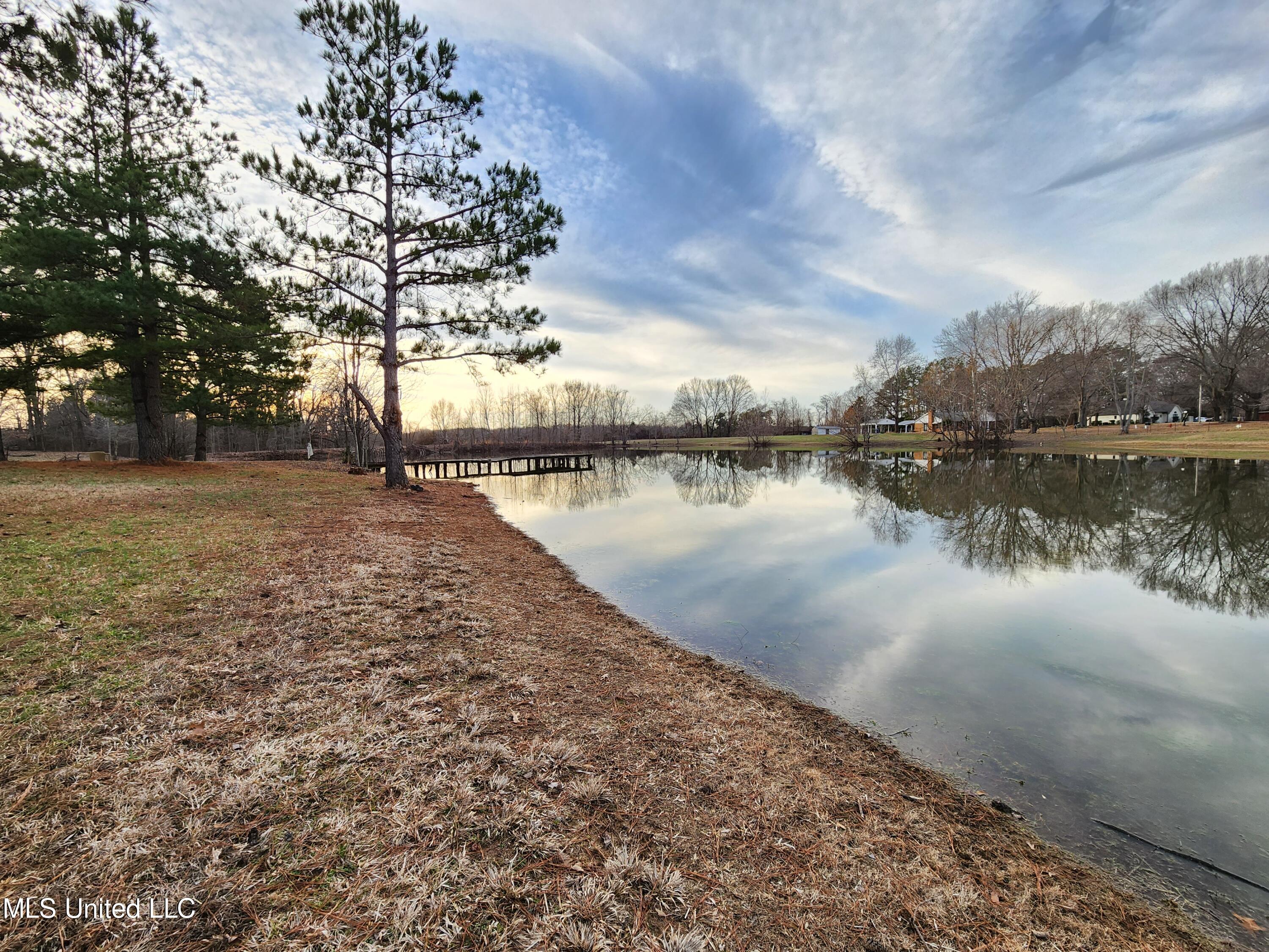 Claridge Court, Horn Lake, Mississippi image 5