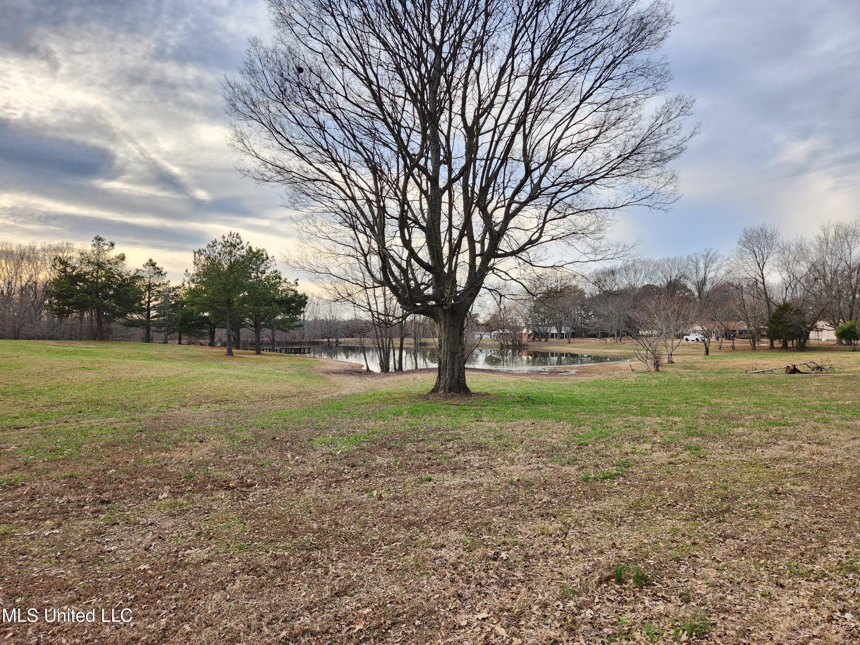 Claridge Court, Horn Lake, Mississippi image 3