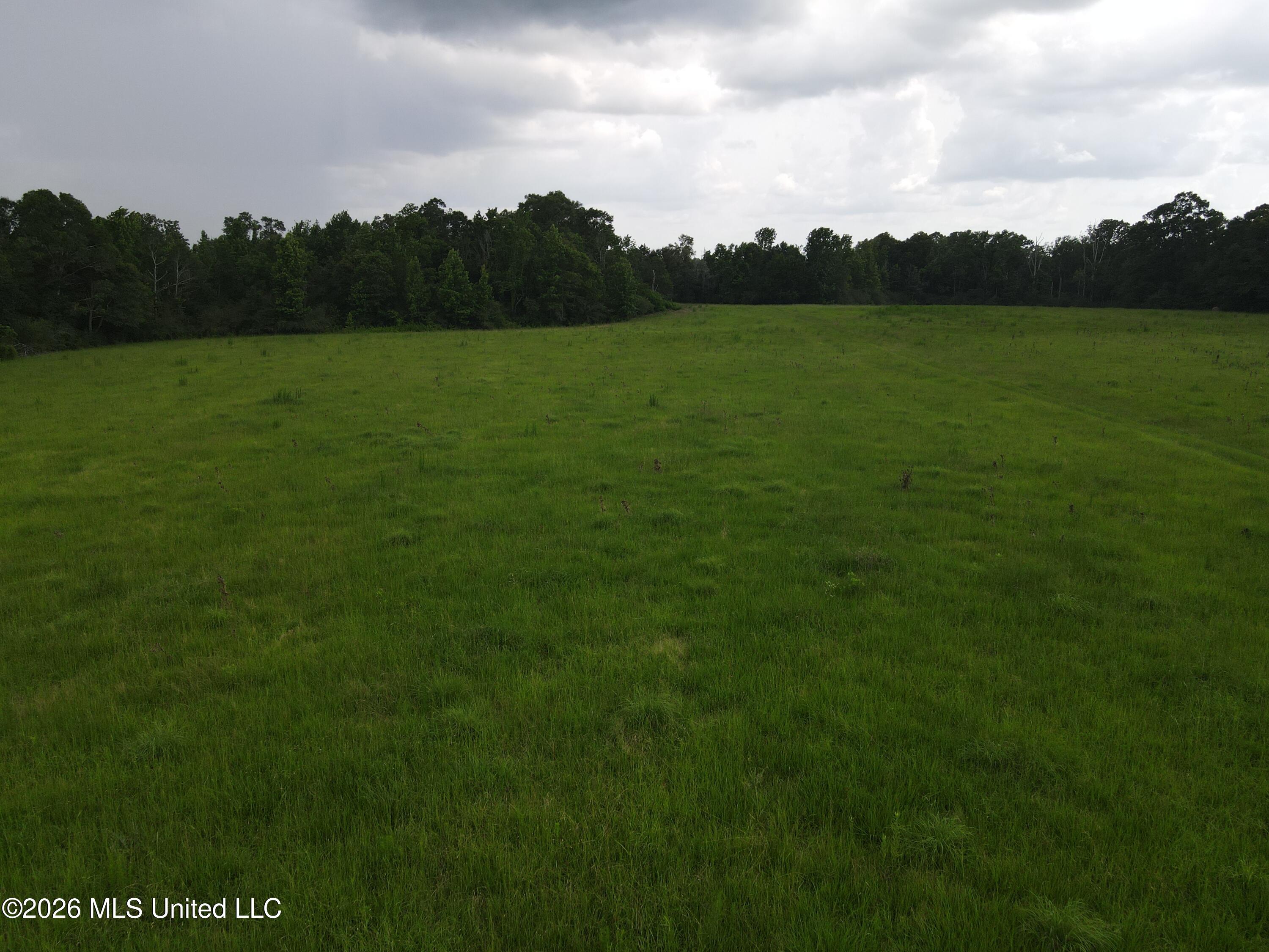 2132 Busby Trail