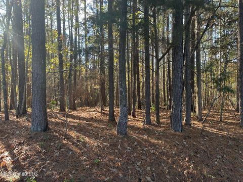 Vacant Land For Sale - Bones Road<br/> Florence, MS 39073