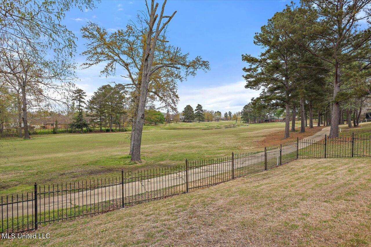 174 Woodlands Glen Circle Cir, Brandon, Mississippi image 40