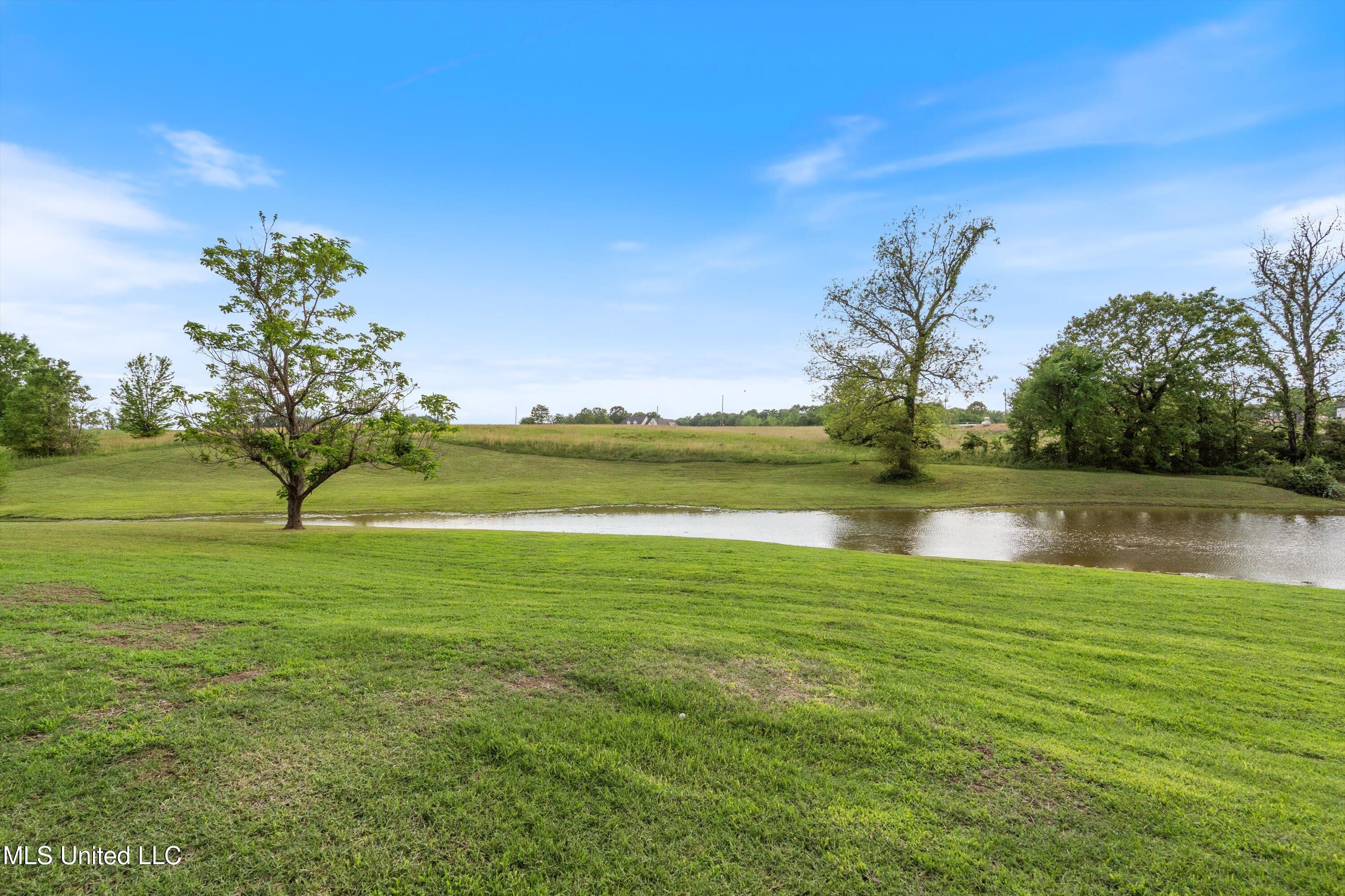 173 Winter Oaks, Lamar, Mississippi image 50