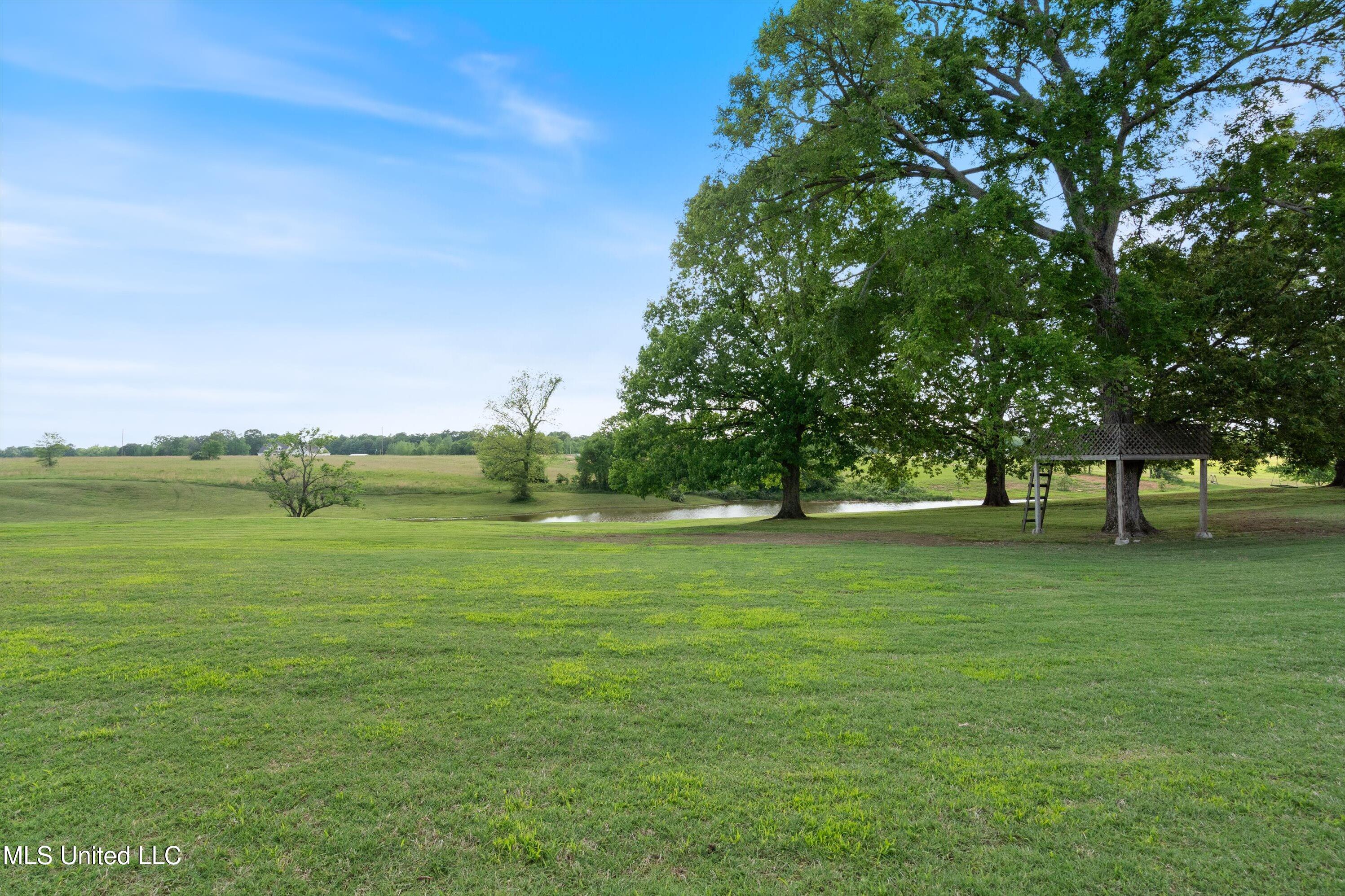 173 Winter Oaks, Lamar, Mississippi image 49