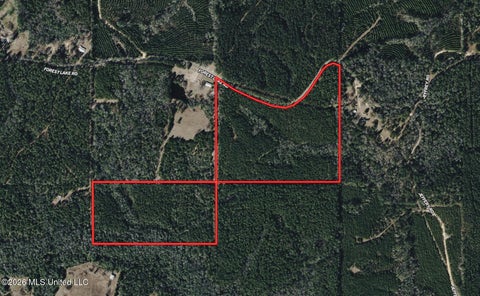 Vacant Land For Sale - 259 Forest Lake Road<br/> Beaumont, MS 39423