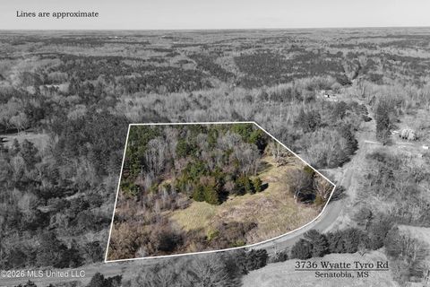 Vacant Land For Sale - 3736 Wyatte Tyro Road<br/> Senatobia, MS 38668